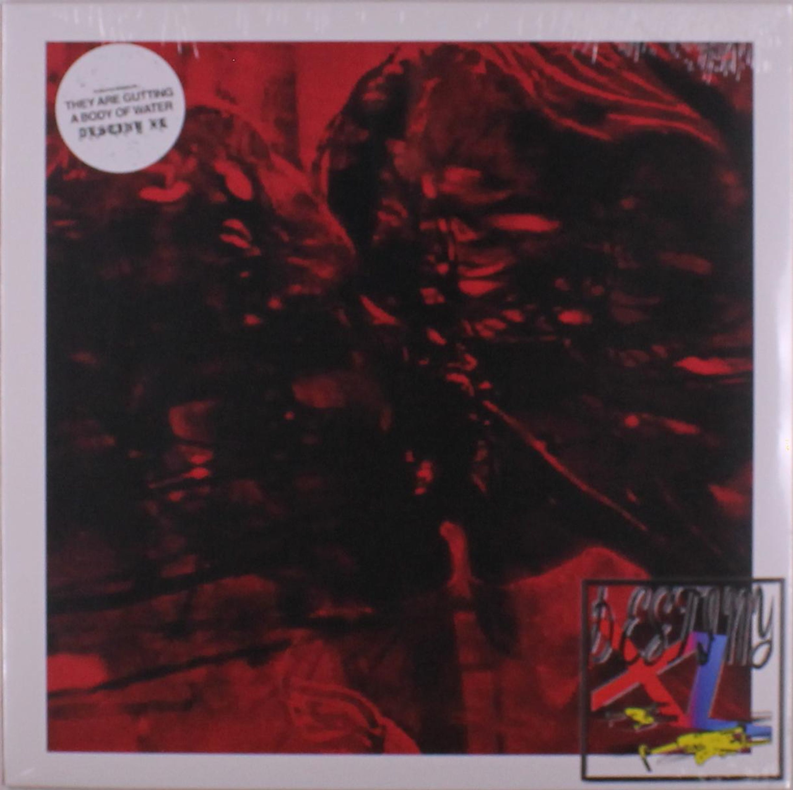 Vinyl They Are Gutting a Body of Water - DESTINY XL