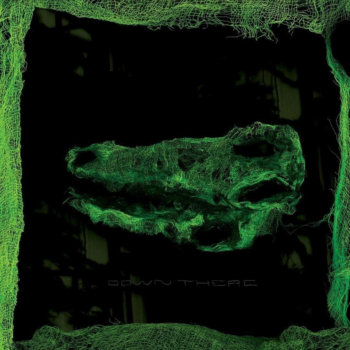 Vinyl Avey Tare - DOWN THERE
