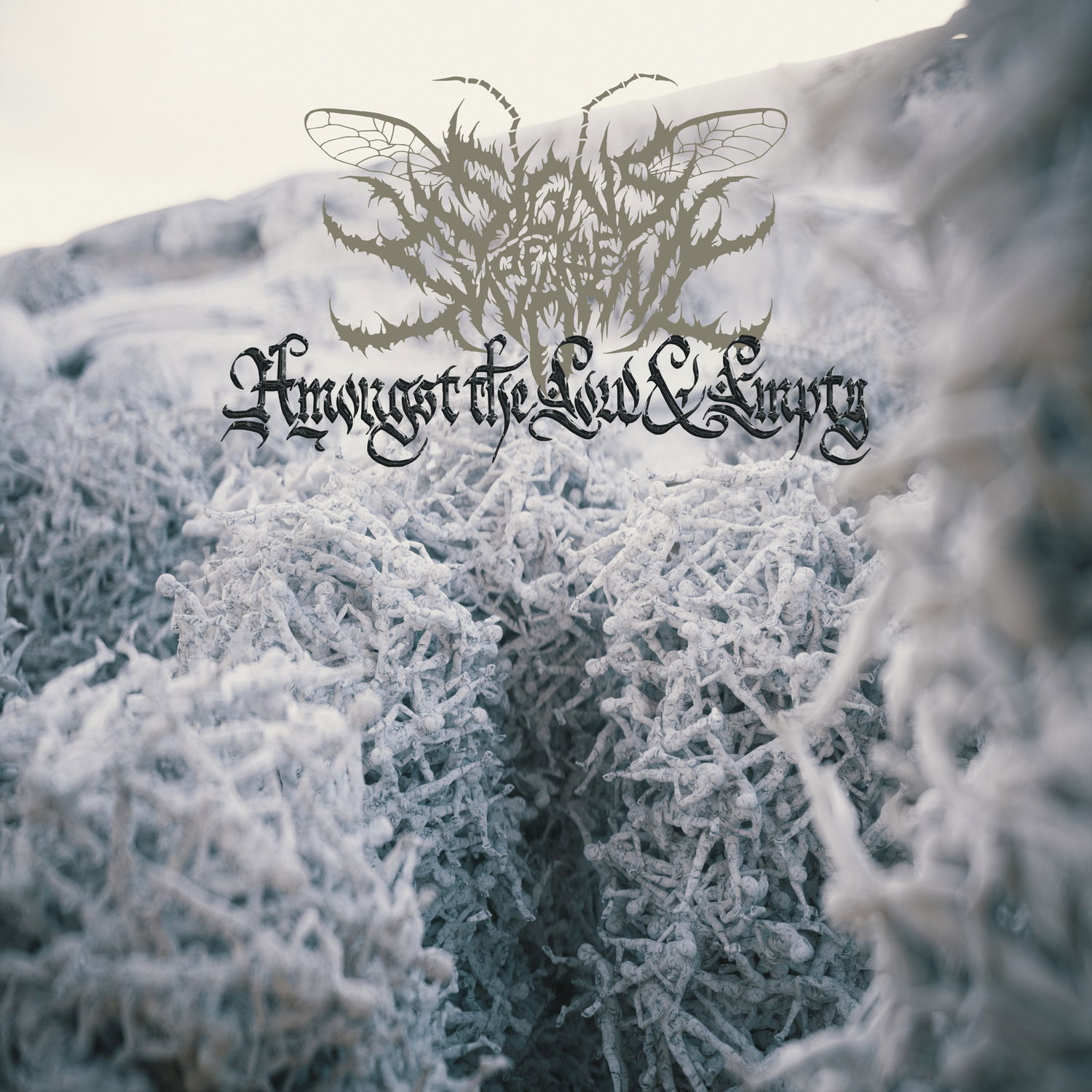 Vinyl Signs of the Swarm - Amongst the Low & Empty