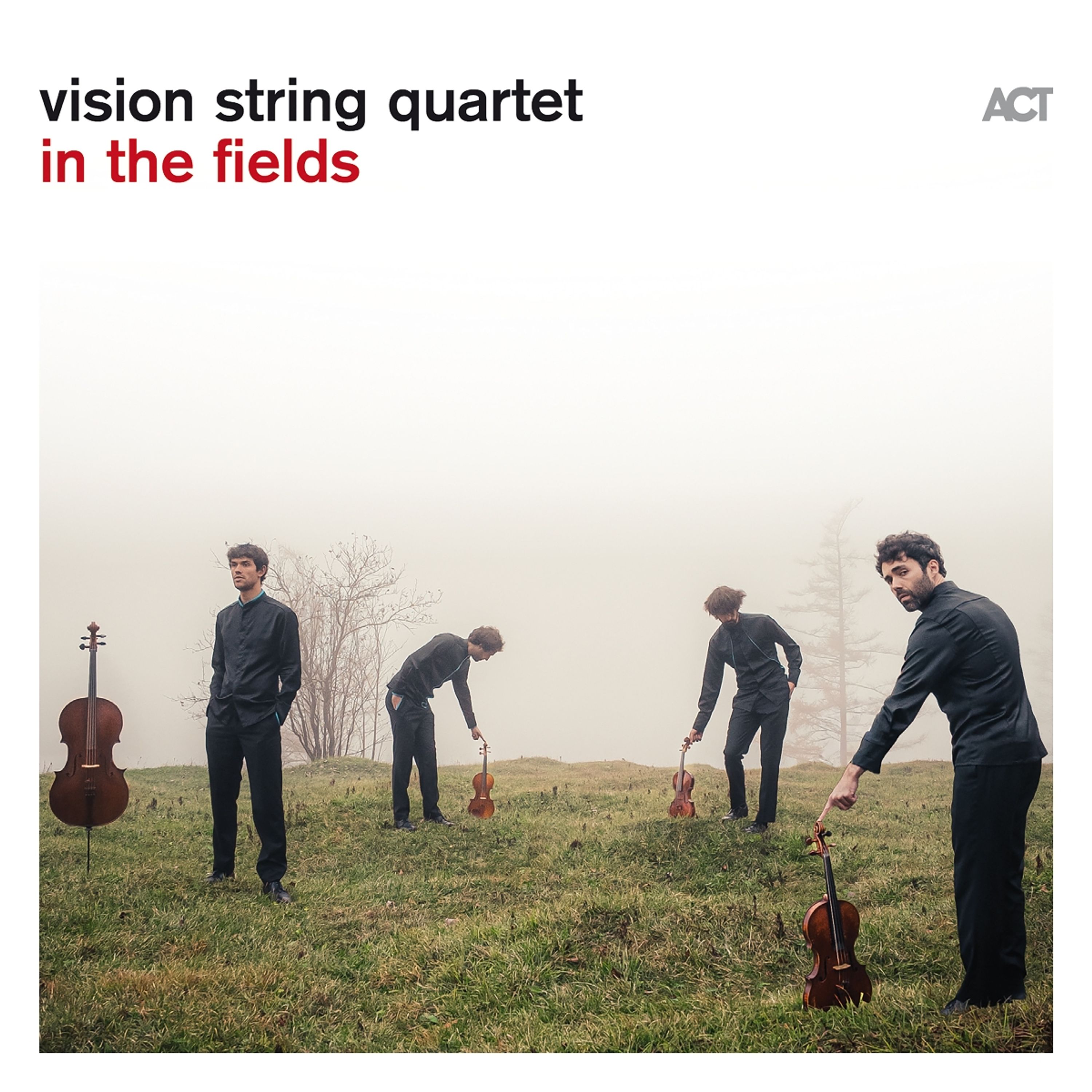 CD Vision String Quartet - IN THE FIELDS