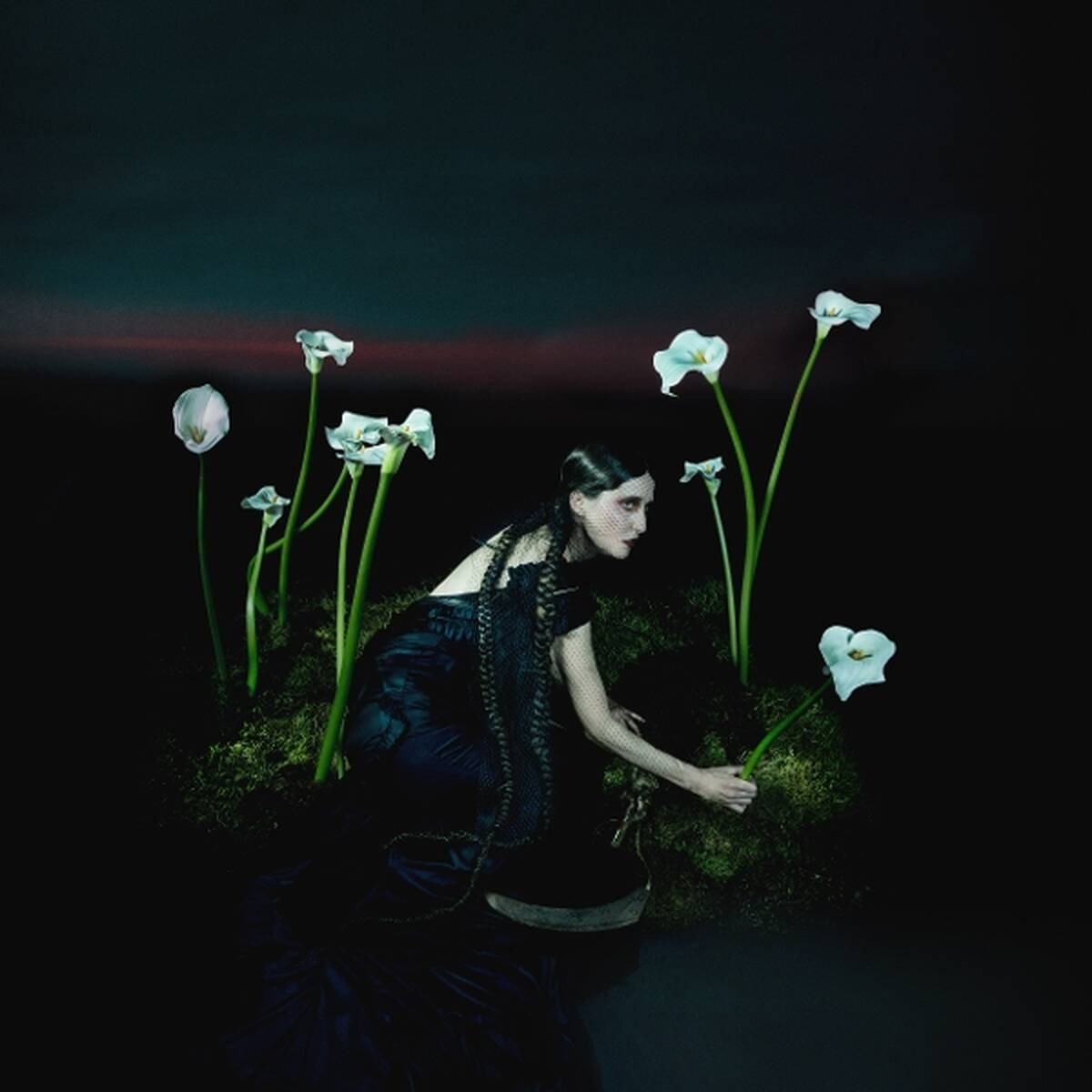 Vinyl Penelope Trappes - A REQUIEM