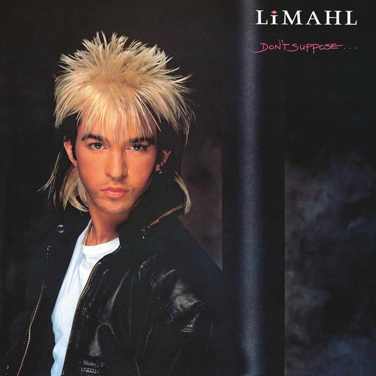 Vinyl Limahl - DON'T SUPPOSE (LIMITED)