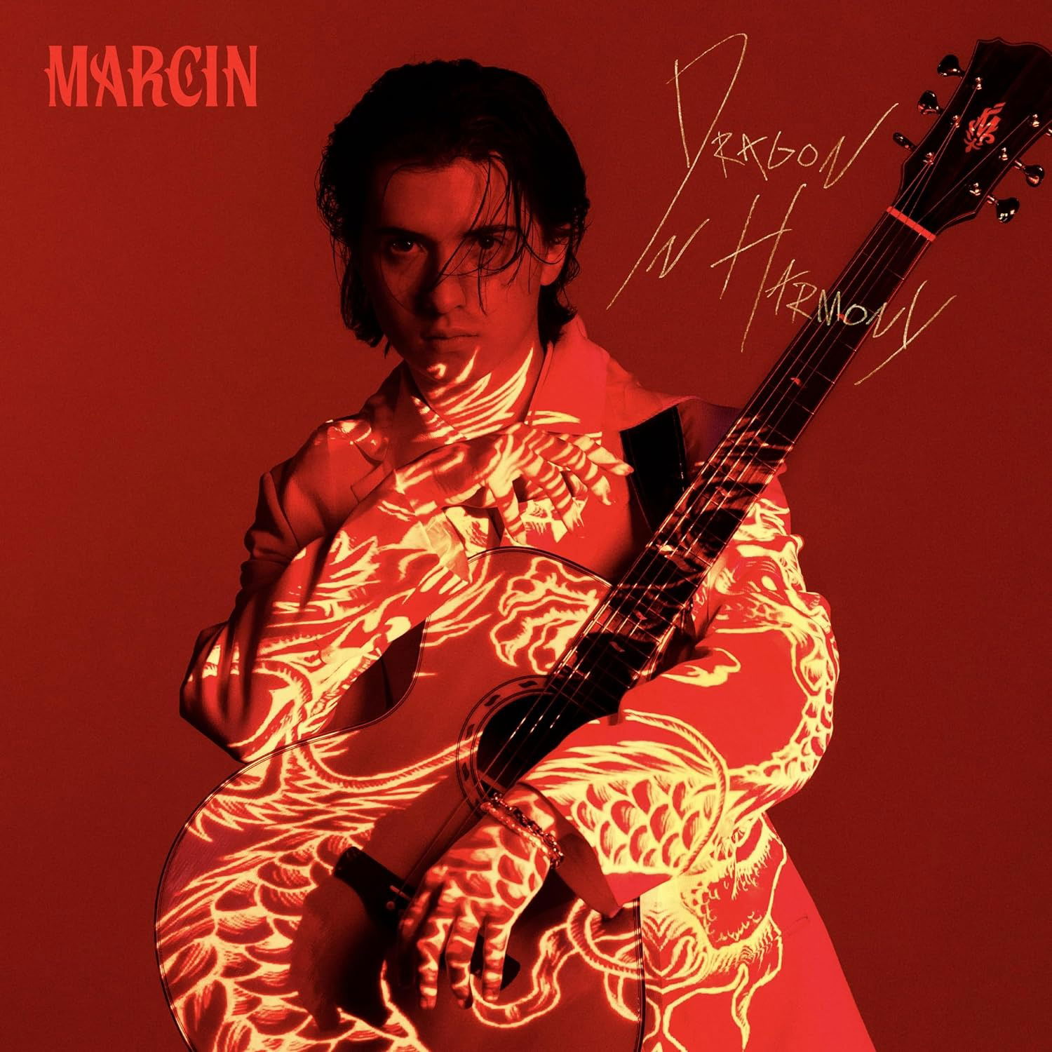 Vinyl Marcin Patrzałek - Dragon In Harmony