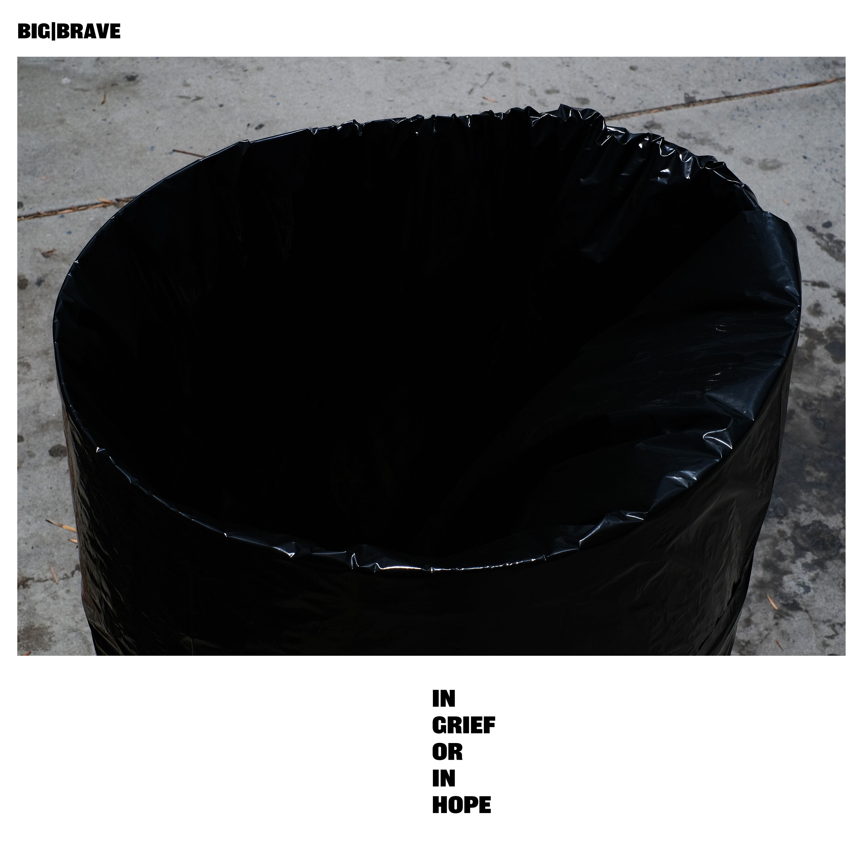 Vinyl - IN GRIEF OR IN HOPE