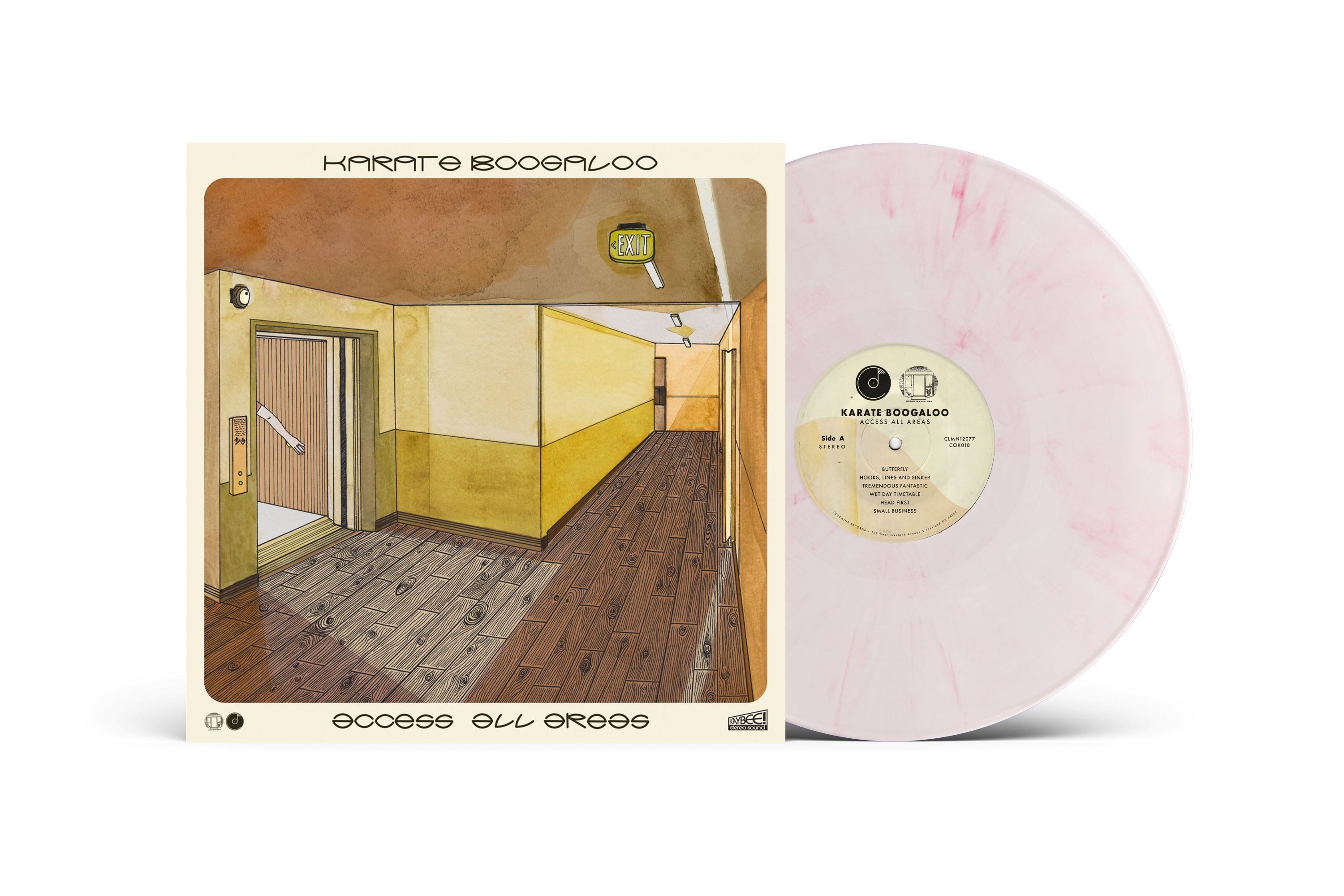 Vinyl Karate Boogaloo - ACCESS ALL AREAS