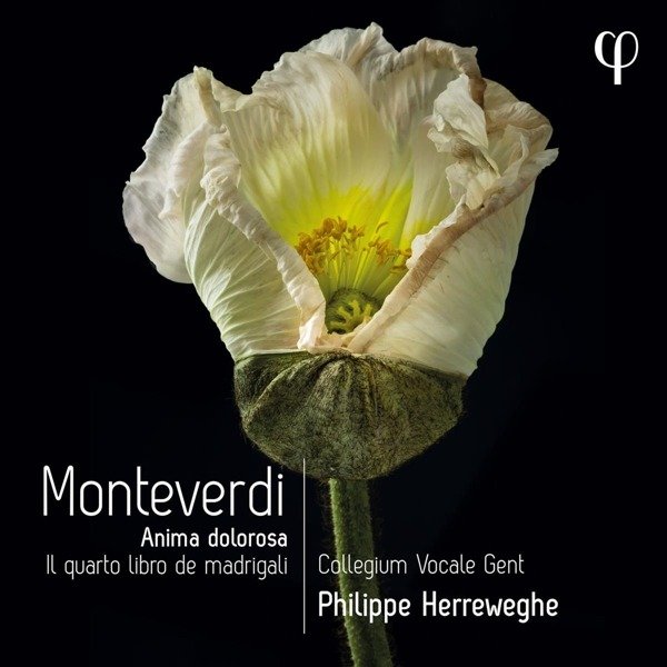 CD Collegium Vocale Gent - MONTEVERDI: IL QUARTO LIBRO DE MADRIGALI