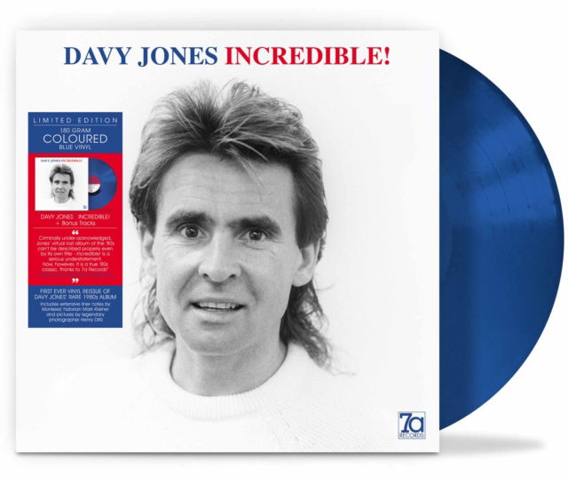 Vinyl Davy Jones - INCREDIBLE!