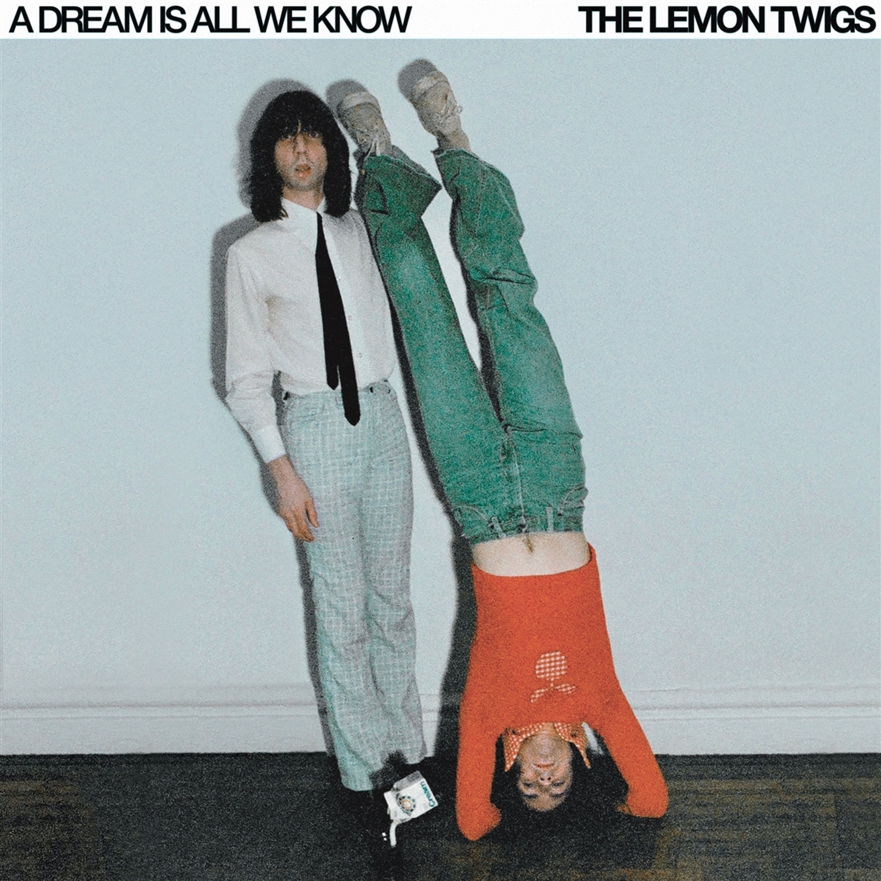Vinyl The Lemon Twigs - A DREAM IS ALL WE KNOW