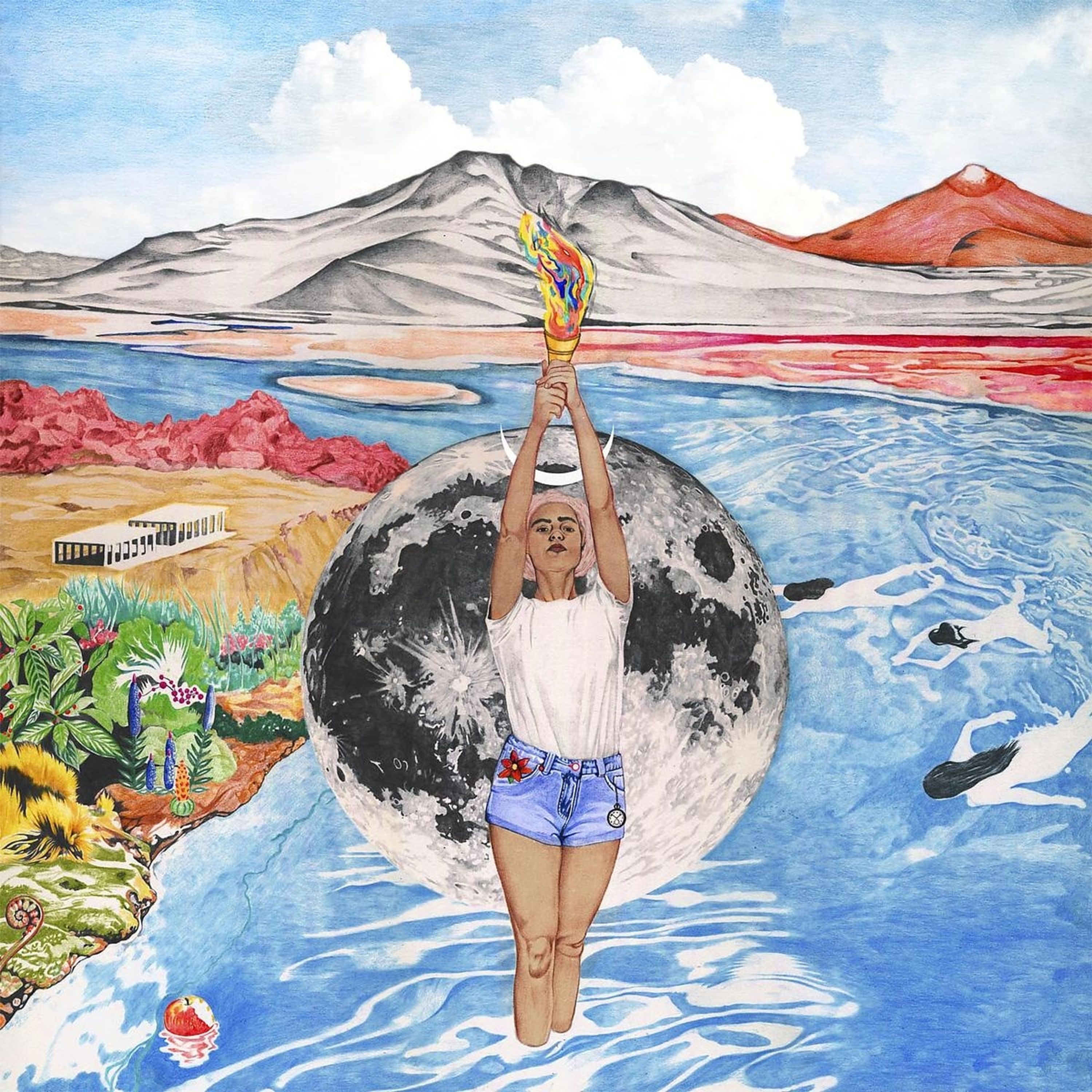 Vinyl Wallis Bird - WOMAN