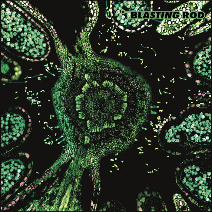 Vinyl Blasting Rod - OF WILD HAZEL