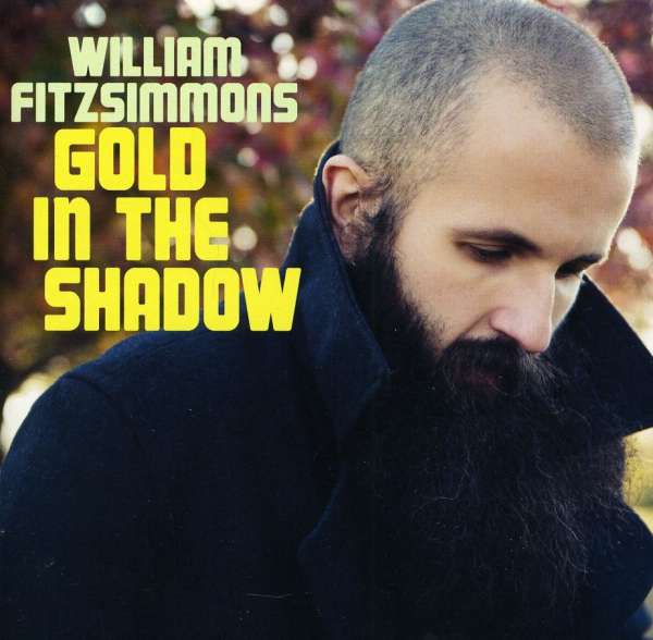 CD William Fitzsimmons - GOLD IN THE