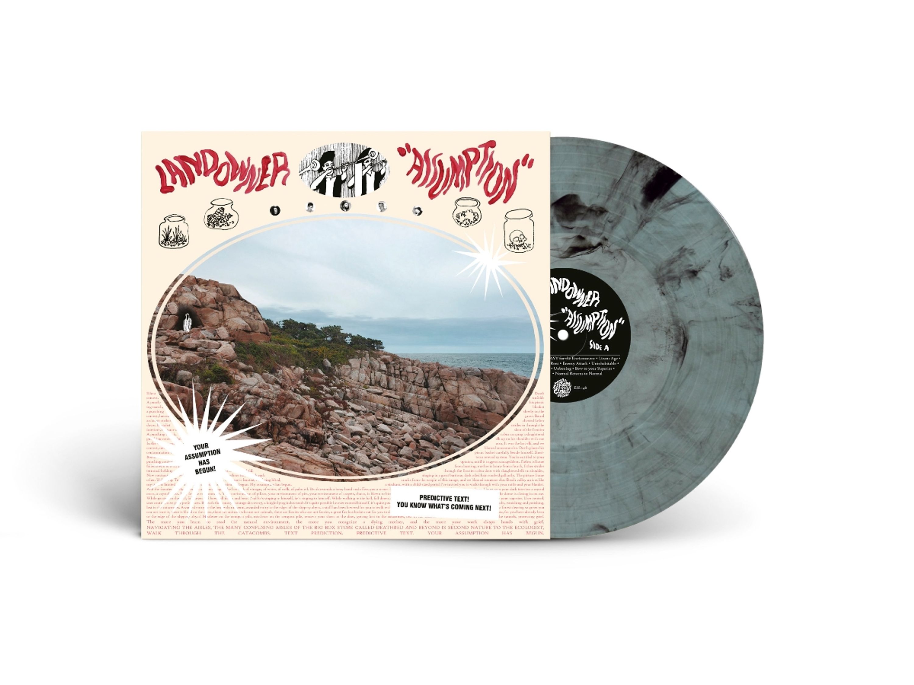 Vinyl Landowner - ASSUMPTION
