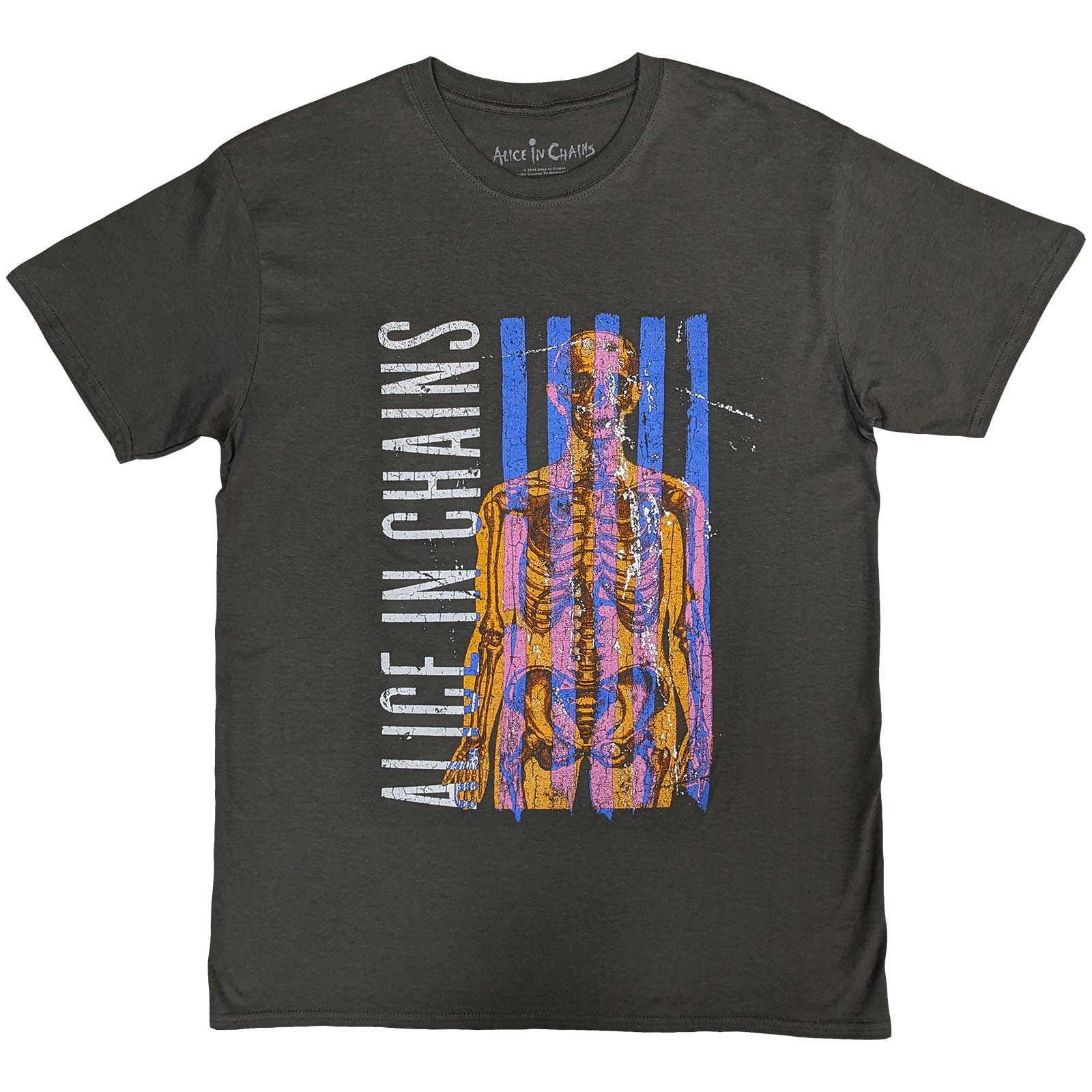 Tričko Alice In Chains - Skeletal, Unisex,Šedá,XL