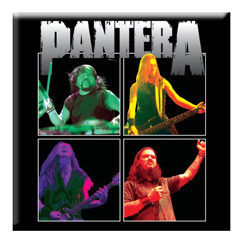 Magnetka Pantera - Band Photo
