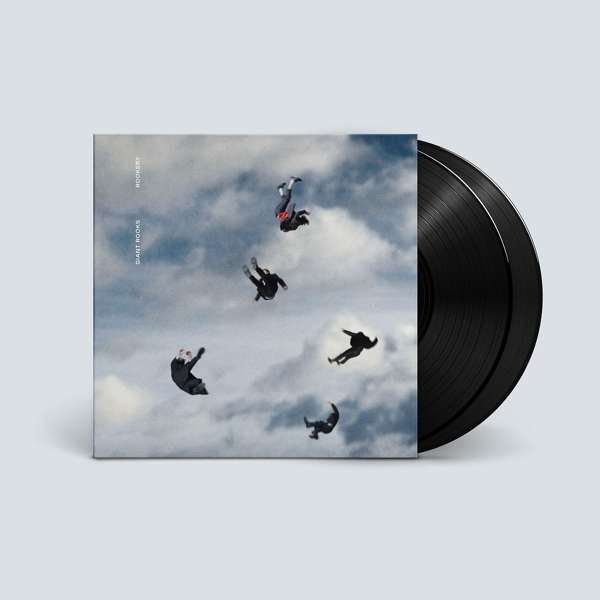 Vinyl Giant Rooks - ROOKERY