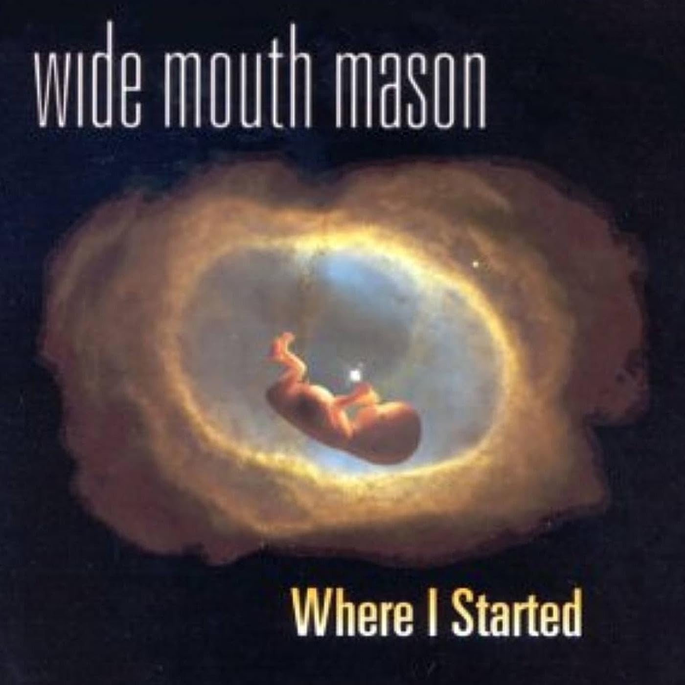 Vinyl Wide Mouth Mason - WHERE I STARTED