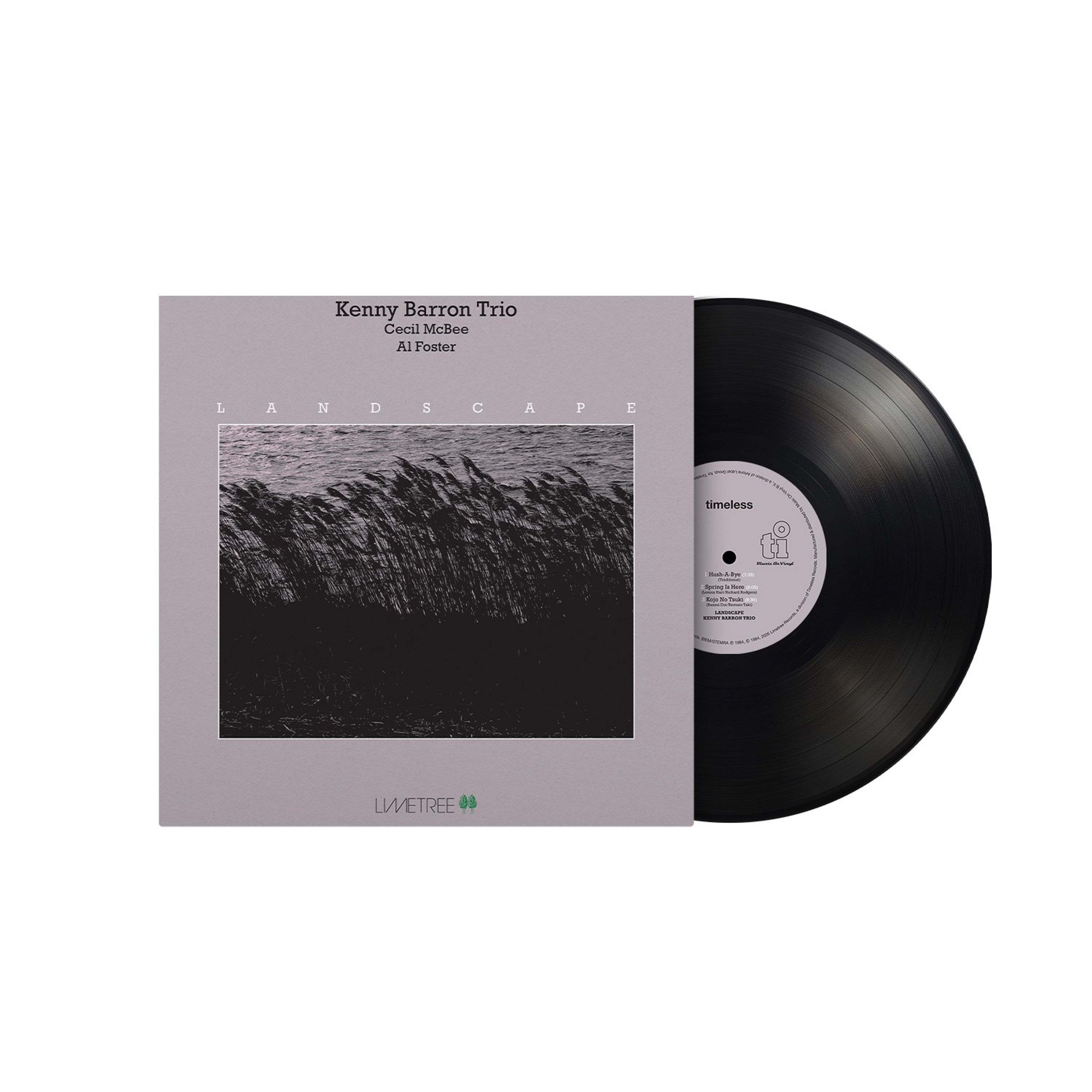 Vinyl - LANDSCAPE