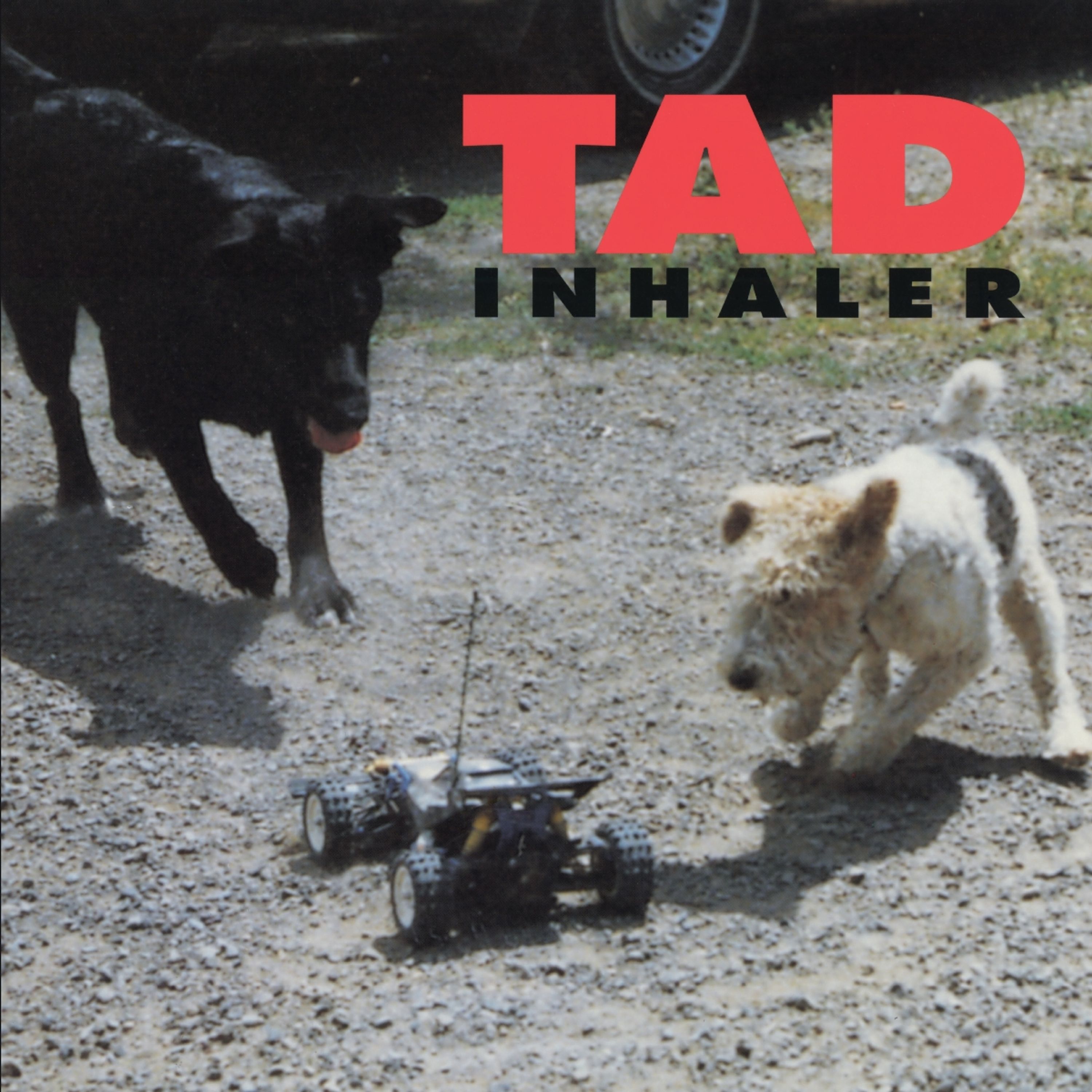 CD Tad - Inhaler