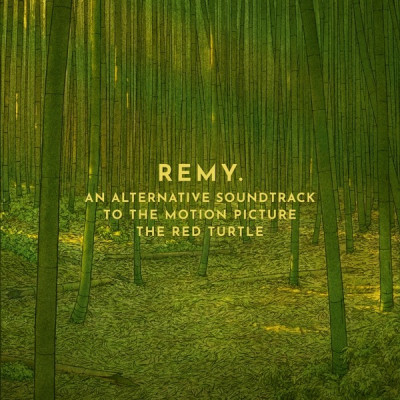 Vinyl Remy van Kesteren - RED TURTLE