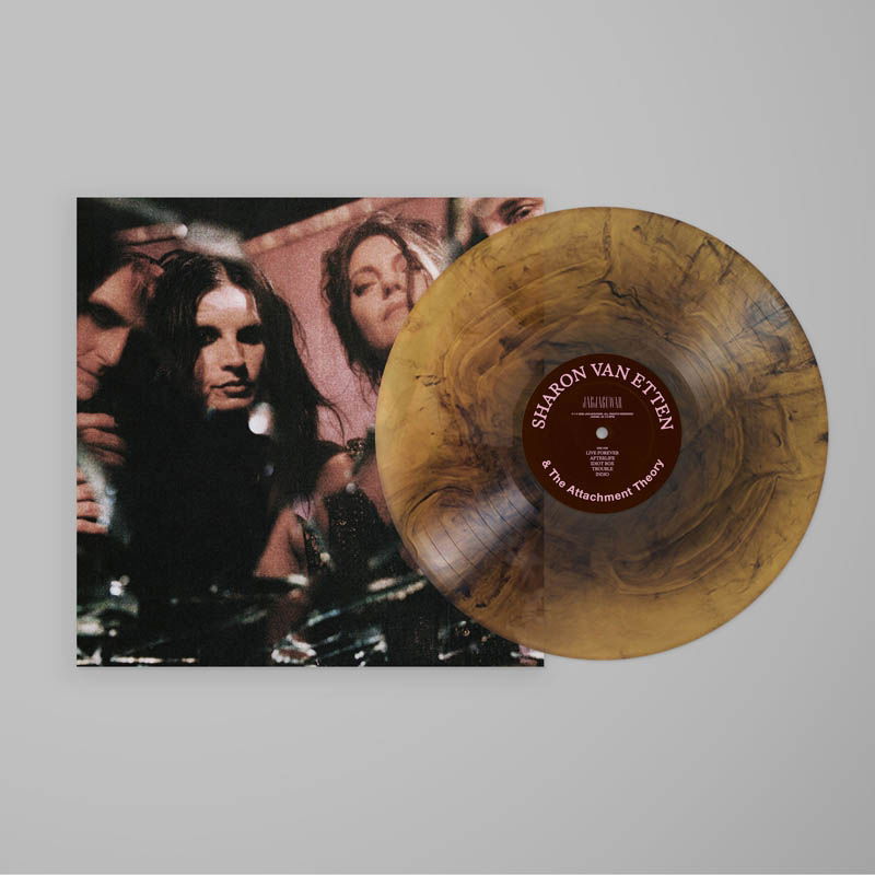 Vinyl Sharon Van Etten - SHARON VAN ETTEN & THE ATTACHMENT THEORY