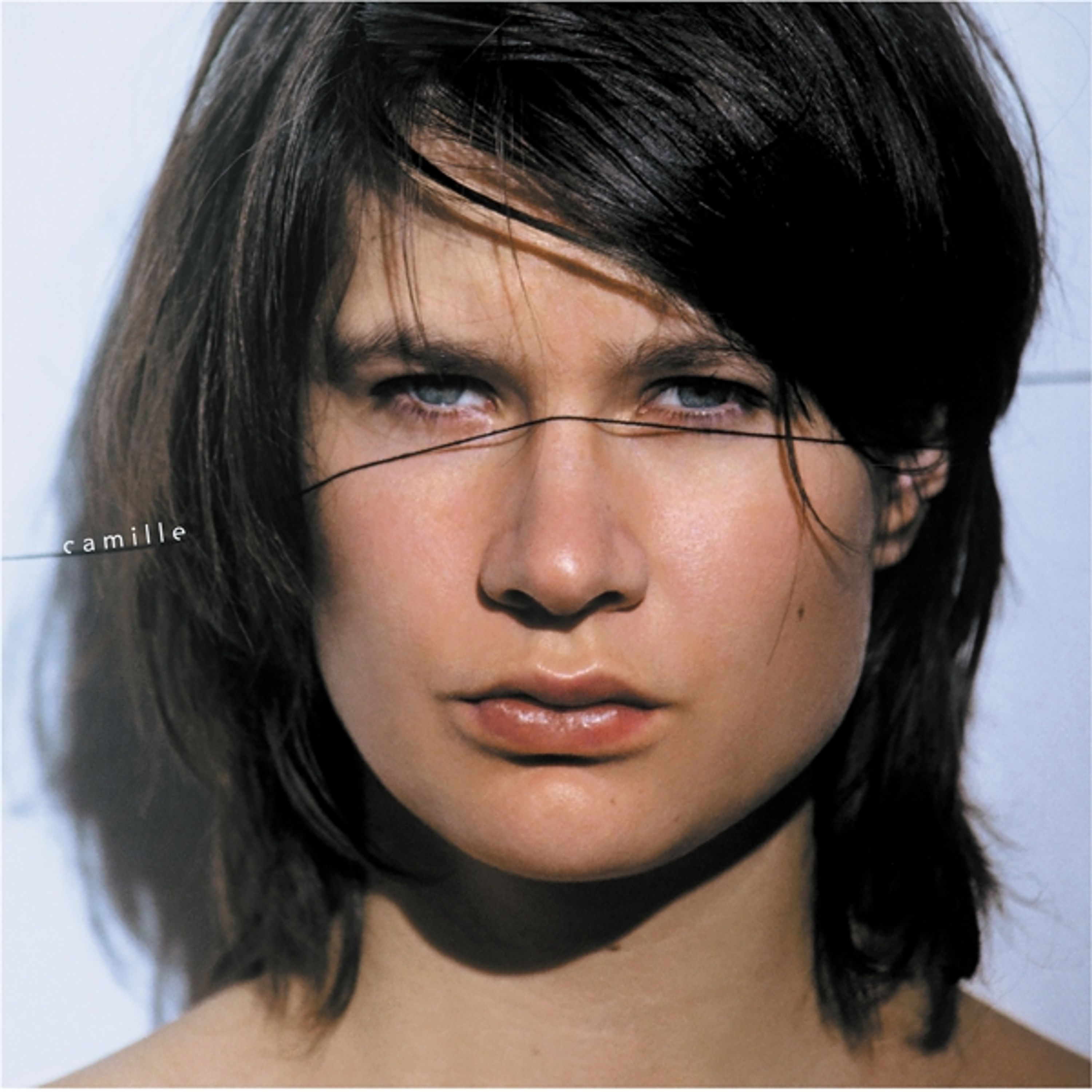 Vinyl Camille - LE FIL