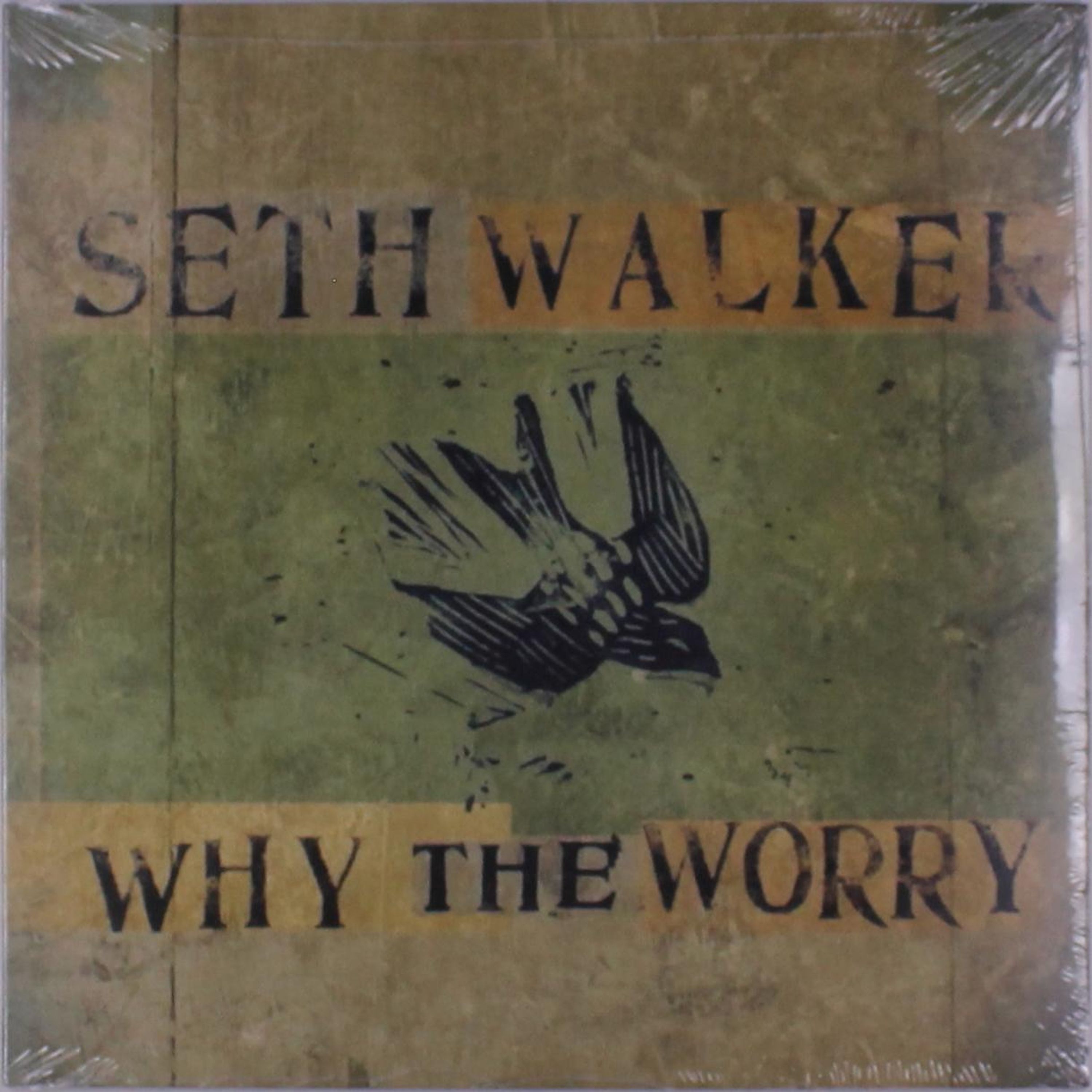 Vinyl Seth Walker - WHY THE WORRY