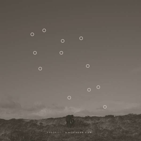 CD Arborist - A NORTHERN VIEW