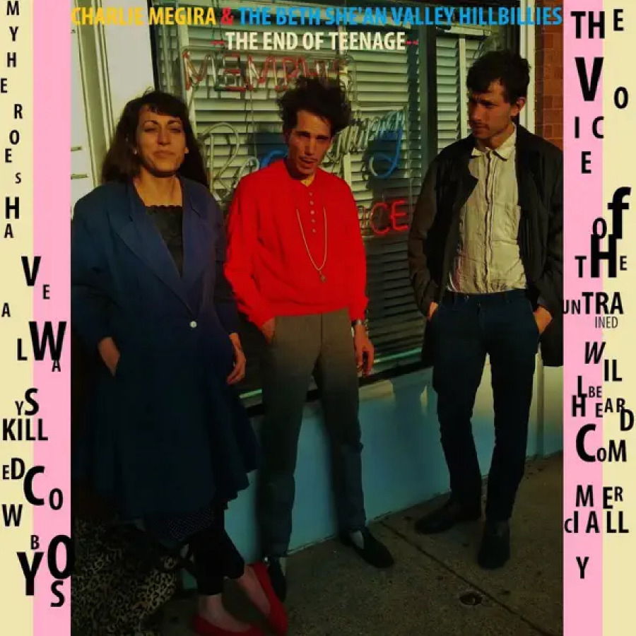 Vinyl Charlie Megira - END OF TEENAGE
