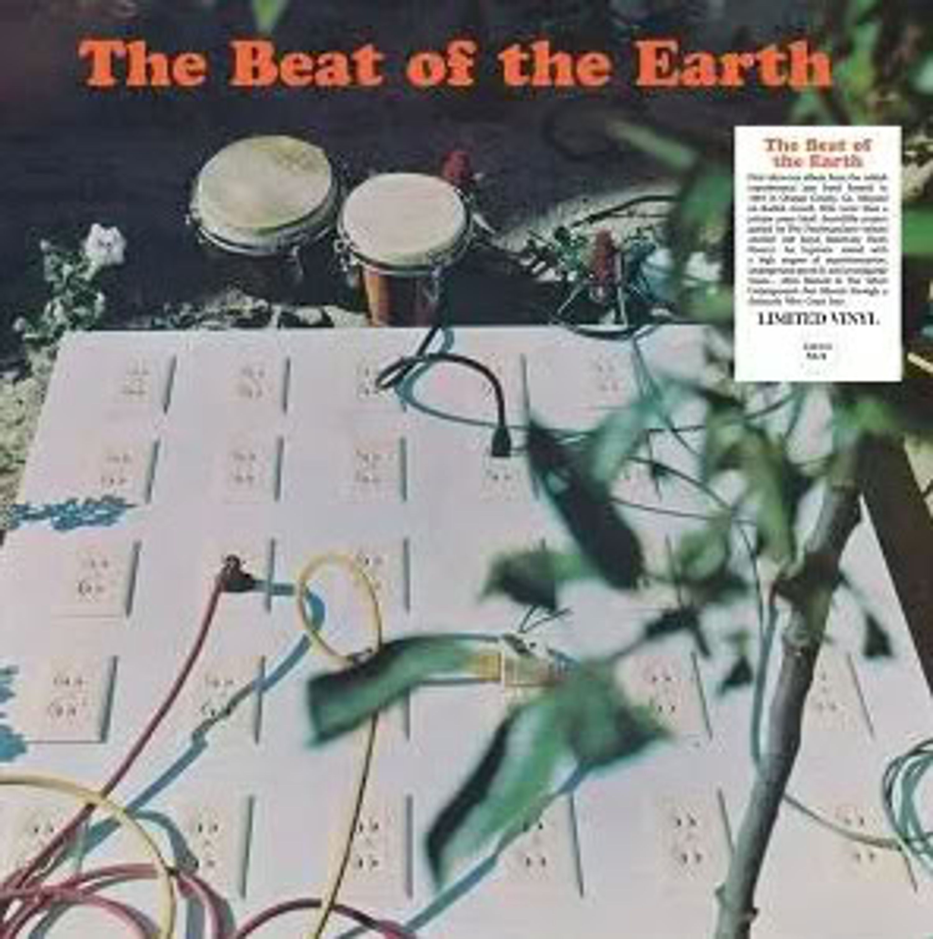 Vinyl - THE BEAT OF THE EARTH