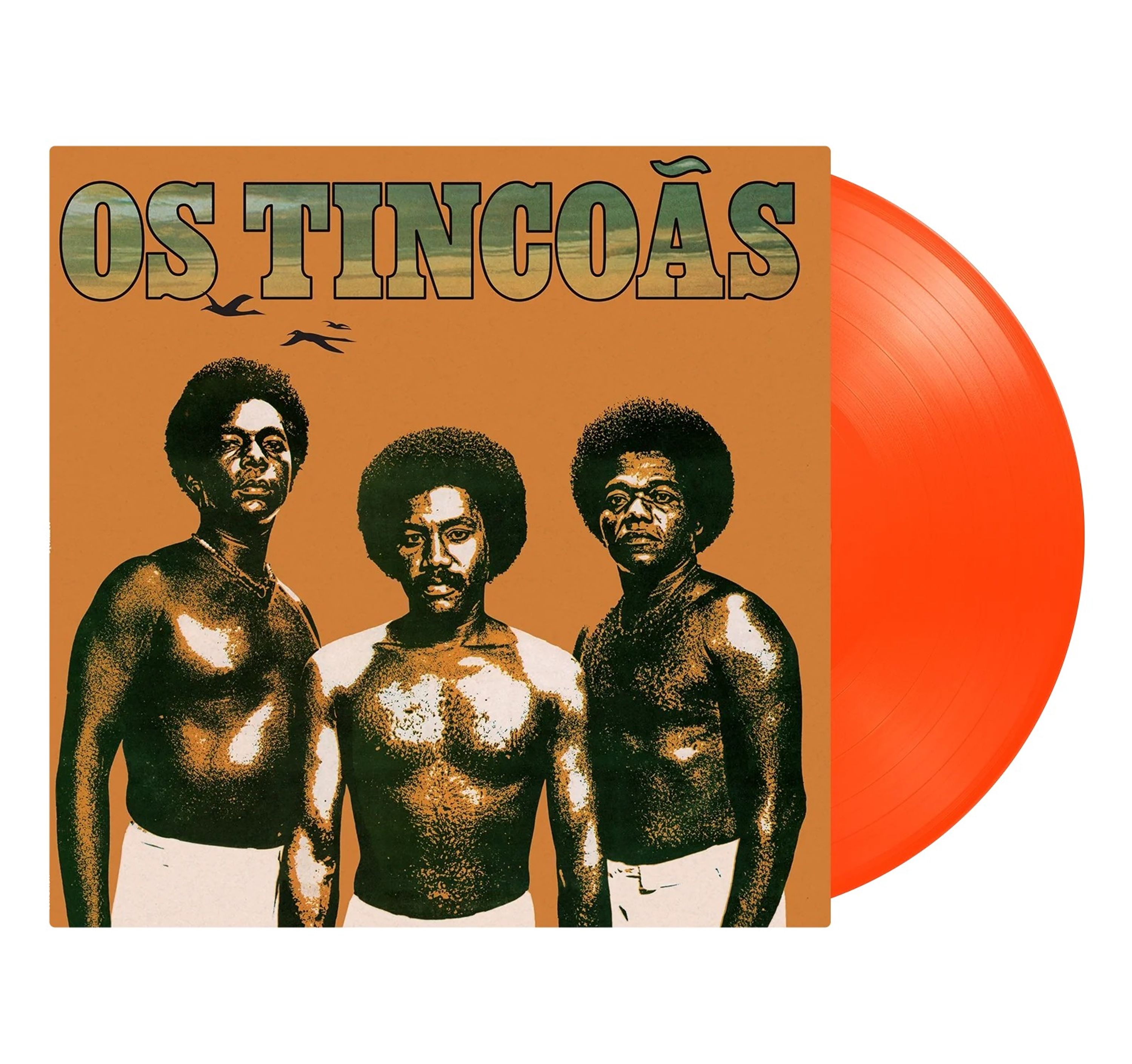 Vinyl Os Tincoãs - OS TINCOAS