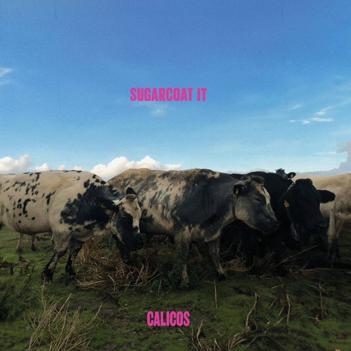 CD Calicos - SUGARCOAT IT
