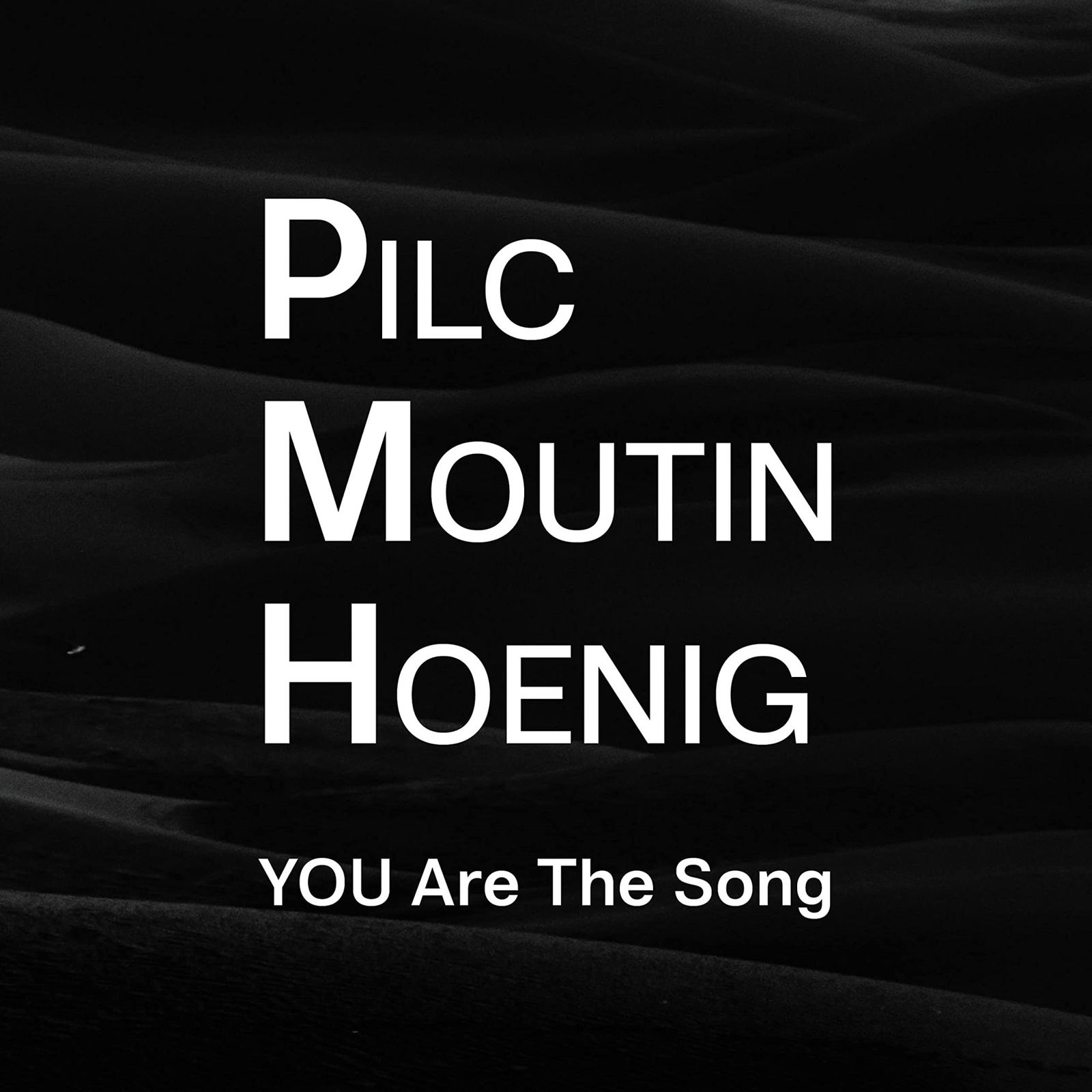 CD Jean-Michel Pilc, François Moutin, Ari Hoenig - YOU ARE THE SONG