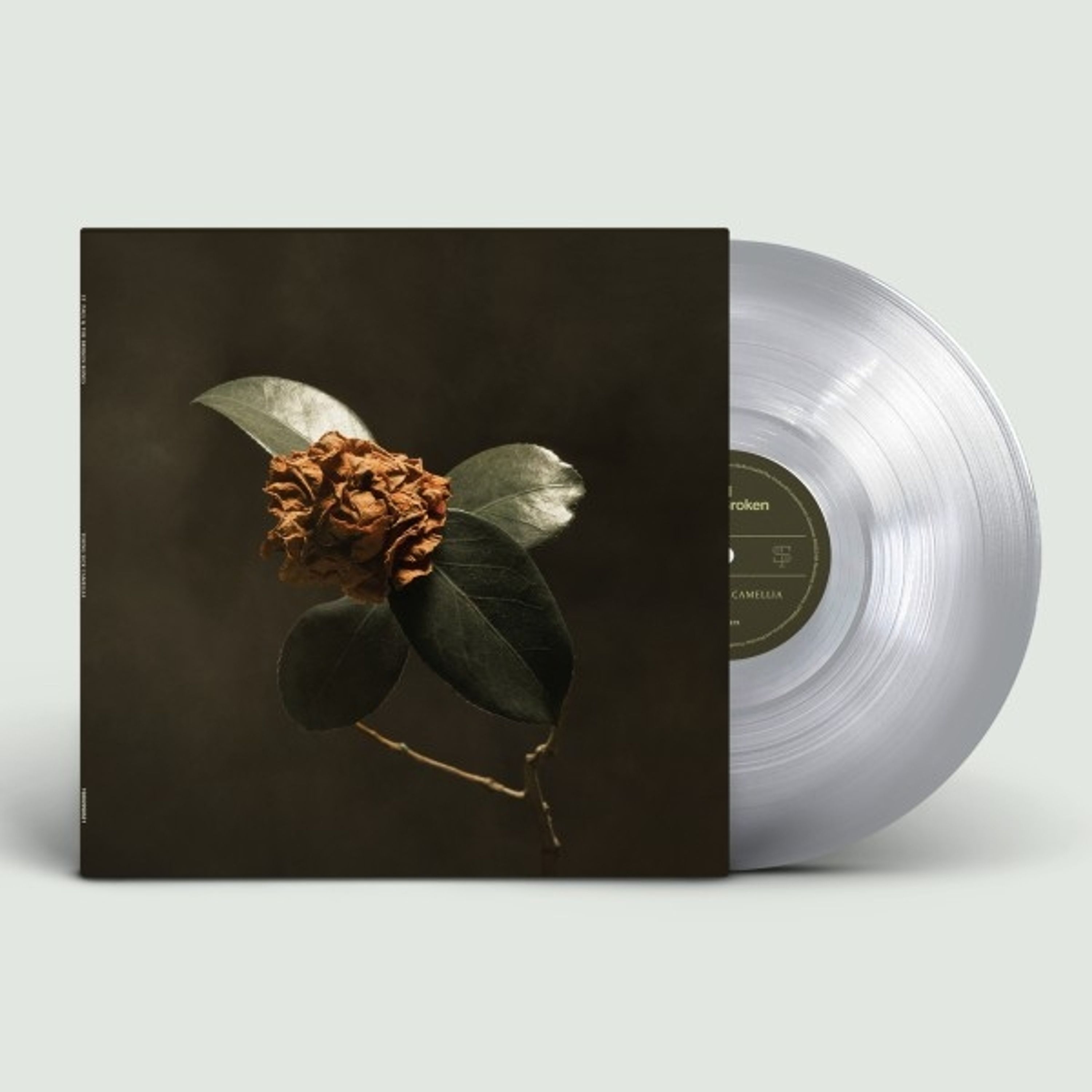 Vinyl St. Paul and The Broken Bones - YOUNG SICK CAMELLIA