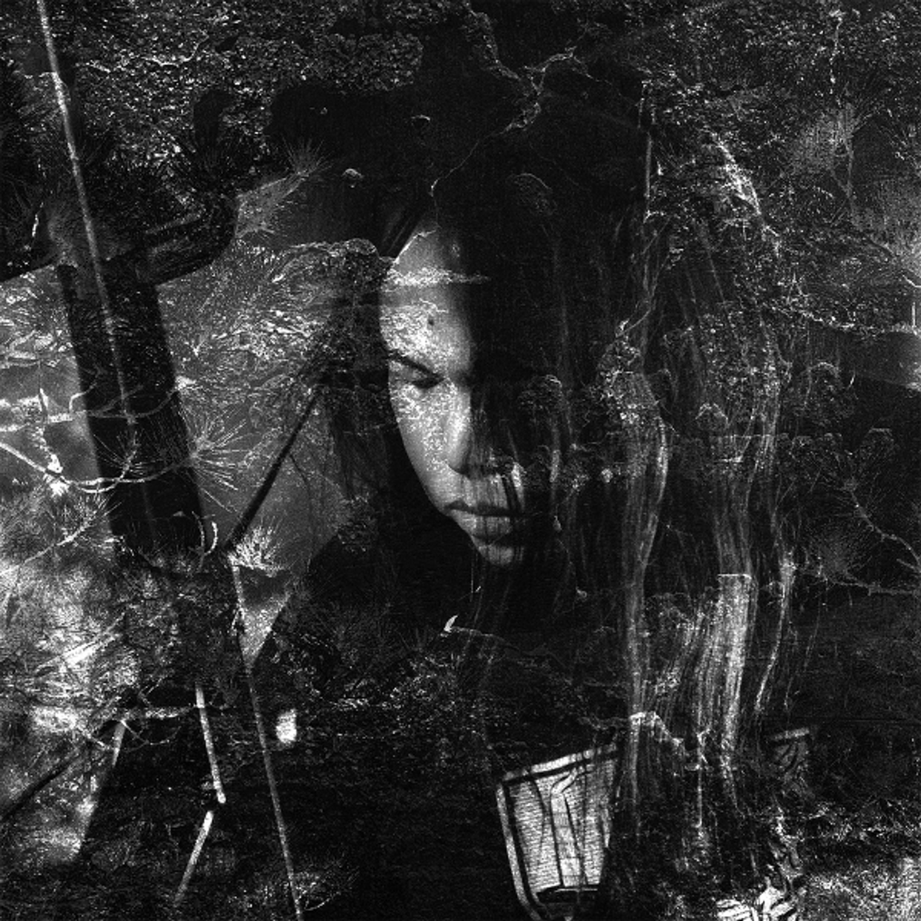 Vinyl thisquietarmy - LANGUE HYBRIDE