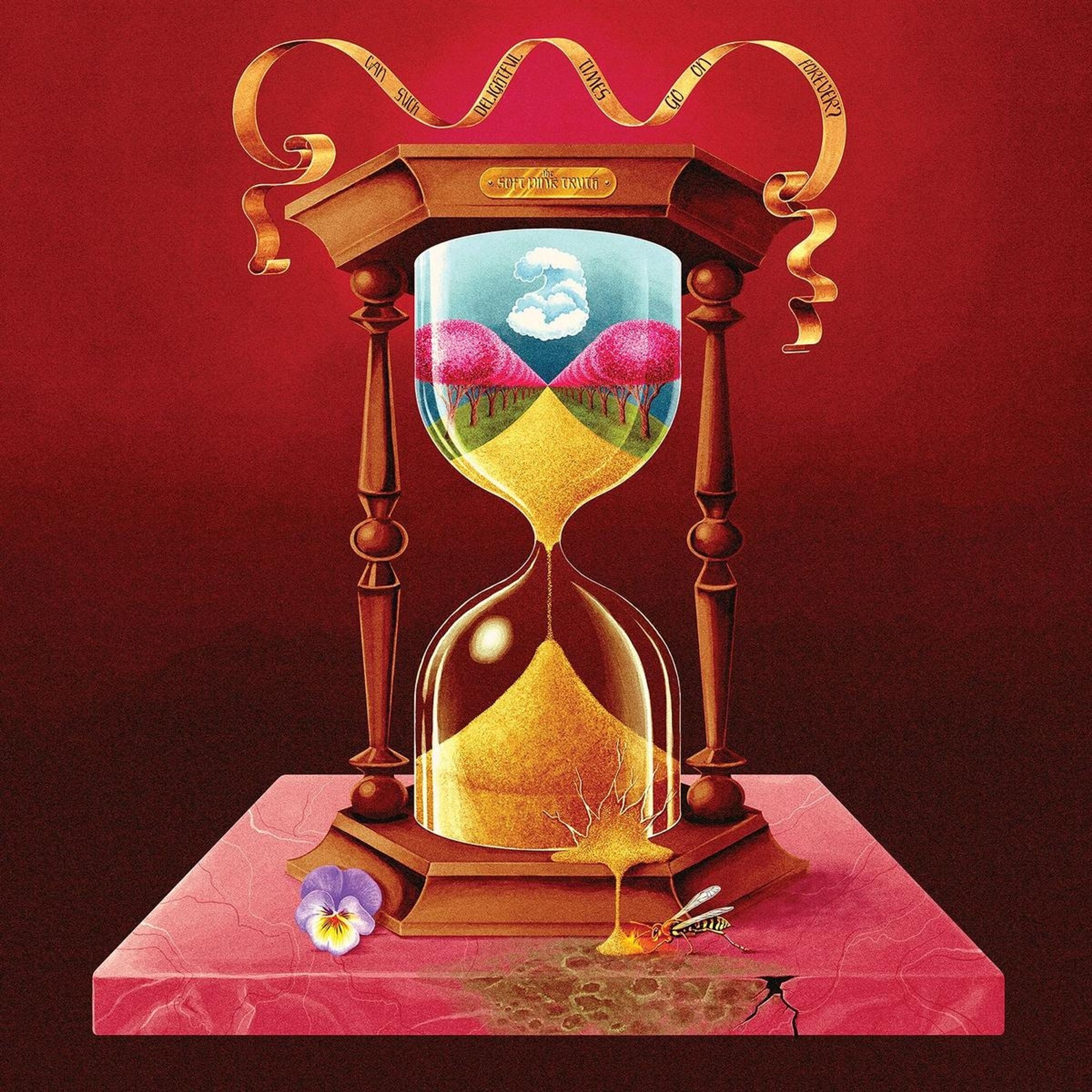 CD The Soft Pink Truth - CAN SUCH DELIGHTFUL TIMES GO ON FOREVER?