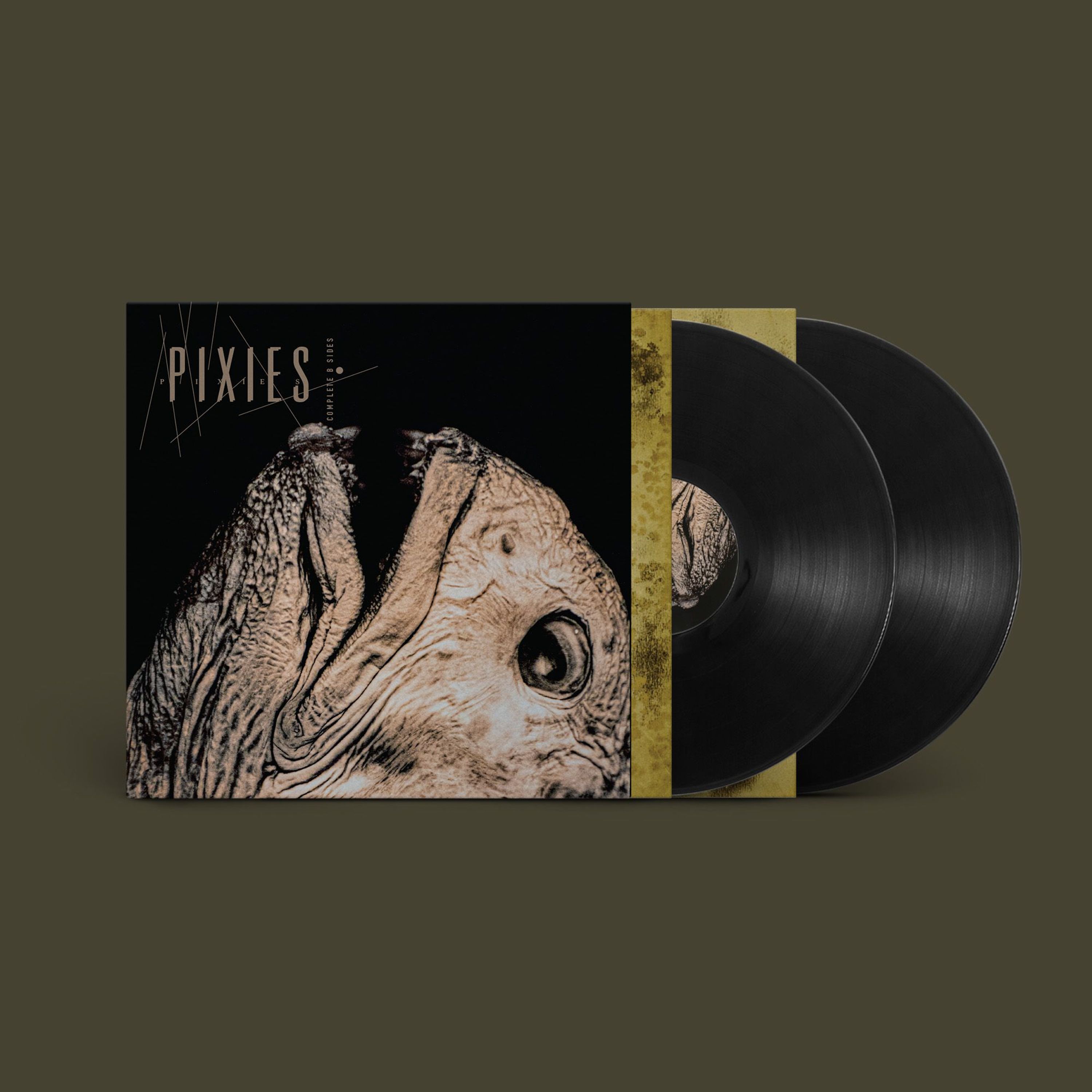 Vinyl Pixies - COMPLETE B-SIDES: 1988-97