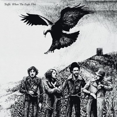 Vinyl Traffic - WHEN THE EAGLE FLIES