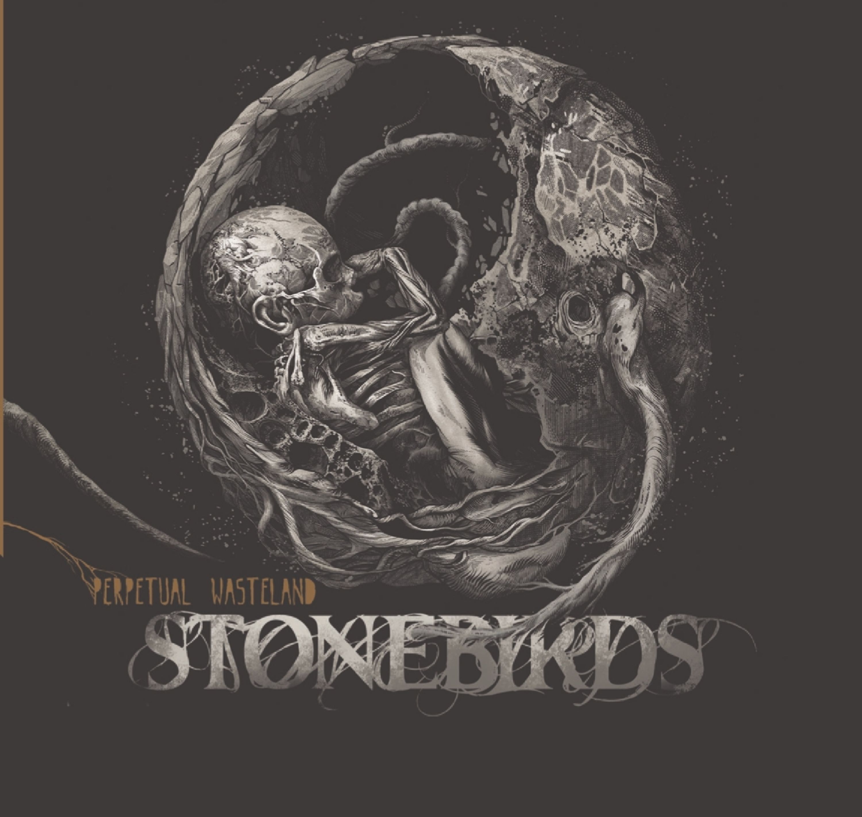 Vinyl Stonebirds - Perpetual Wasteland