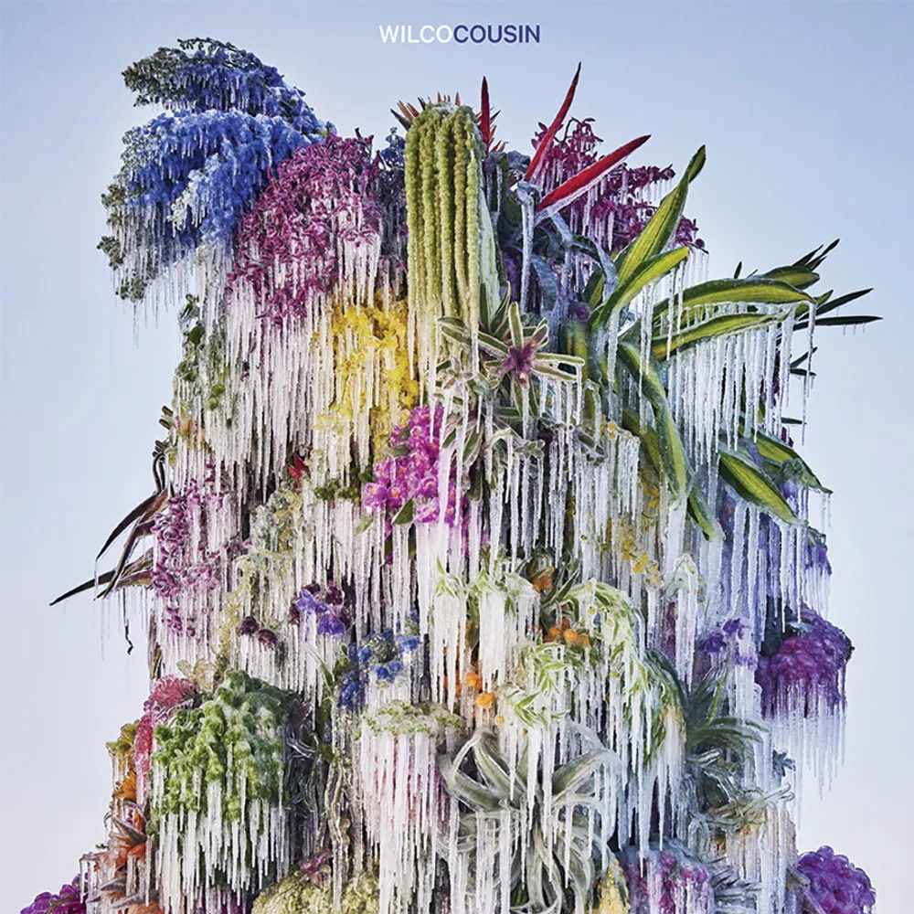 Vinyl Wilco - Cousin