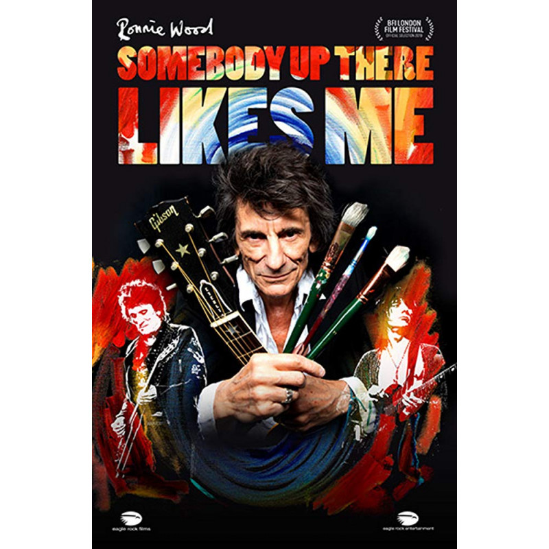 DVD Ronnie Wood - SOMEBODY UP THERE LIKES ME