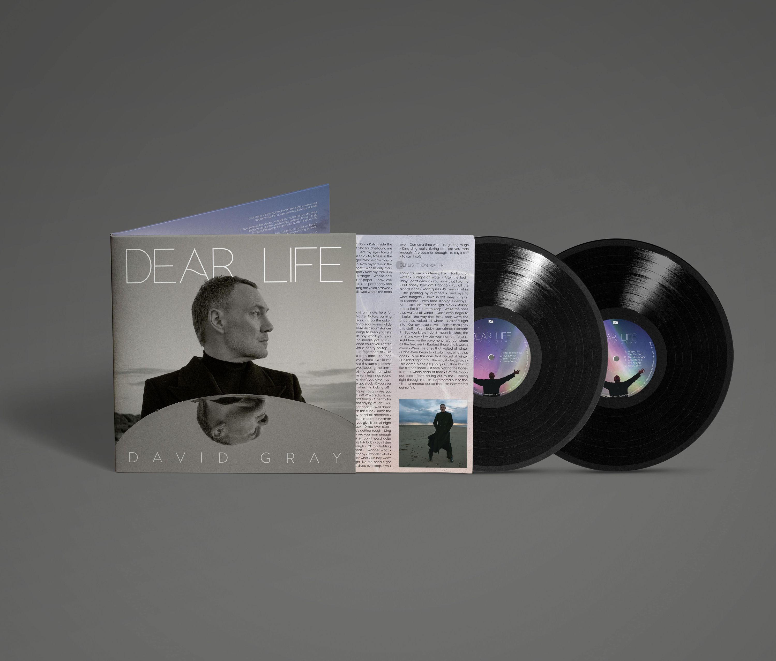 Vinyl David Gray - DEAR LIFE