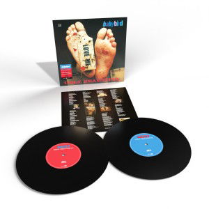 Vinyl Babybird - UGLY BEAUTIFUL