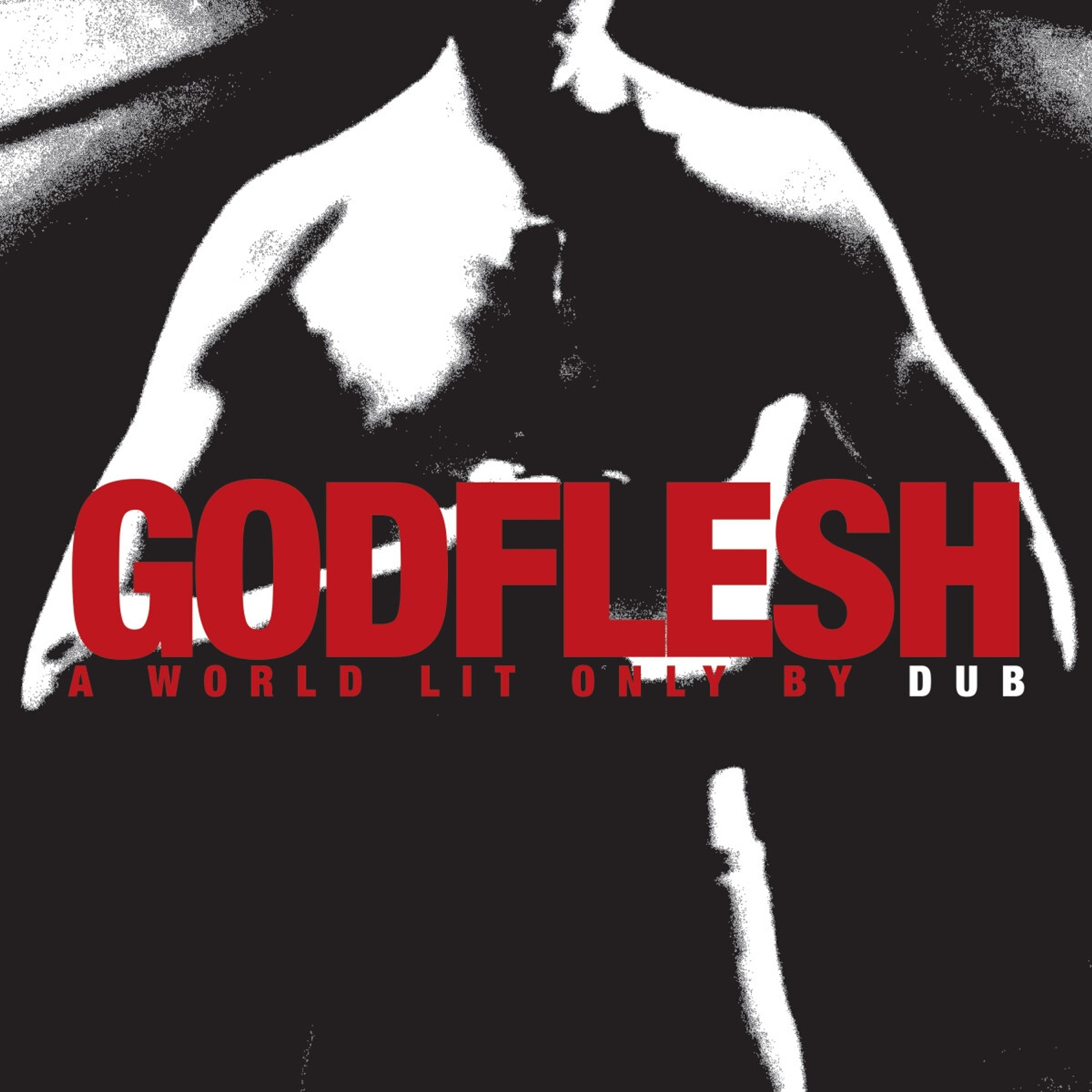 CD Godflesh - A WORLD LIT ONLY BY DUB