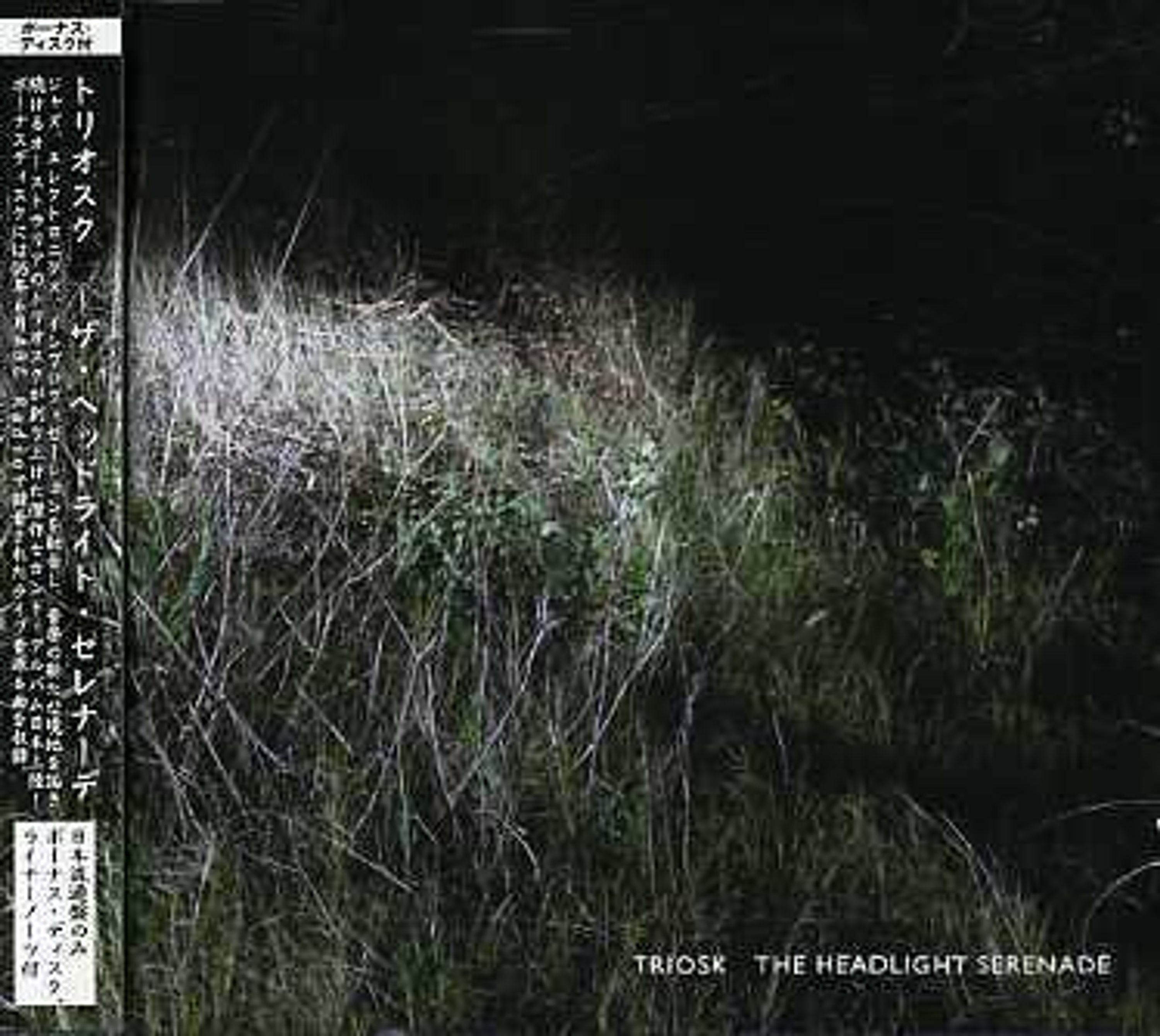 CD Triosk - HEADLIGHT SERENADE