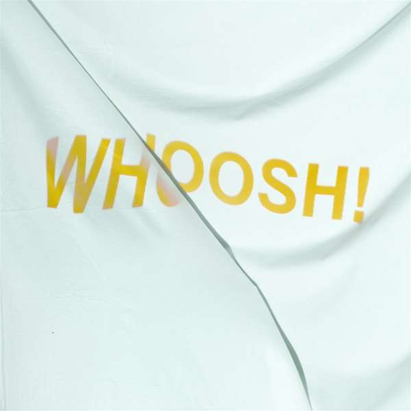 CD The Stroppies - WHOOSH