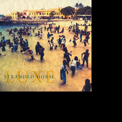 CD Stranded Horse - LUXE
