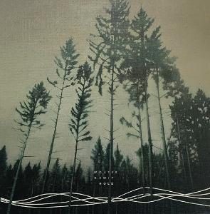Vinyl Wouter Dewit - HOLD