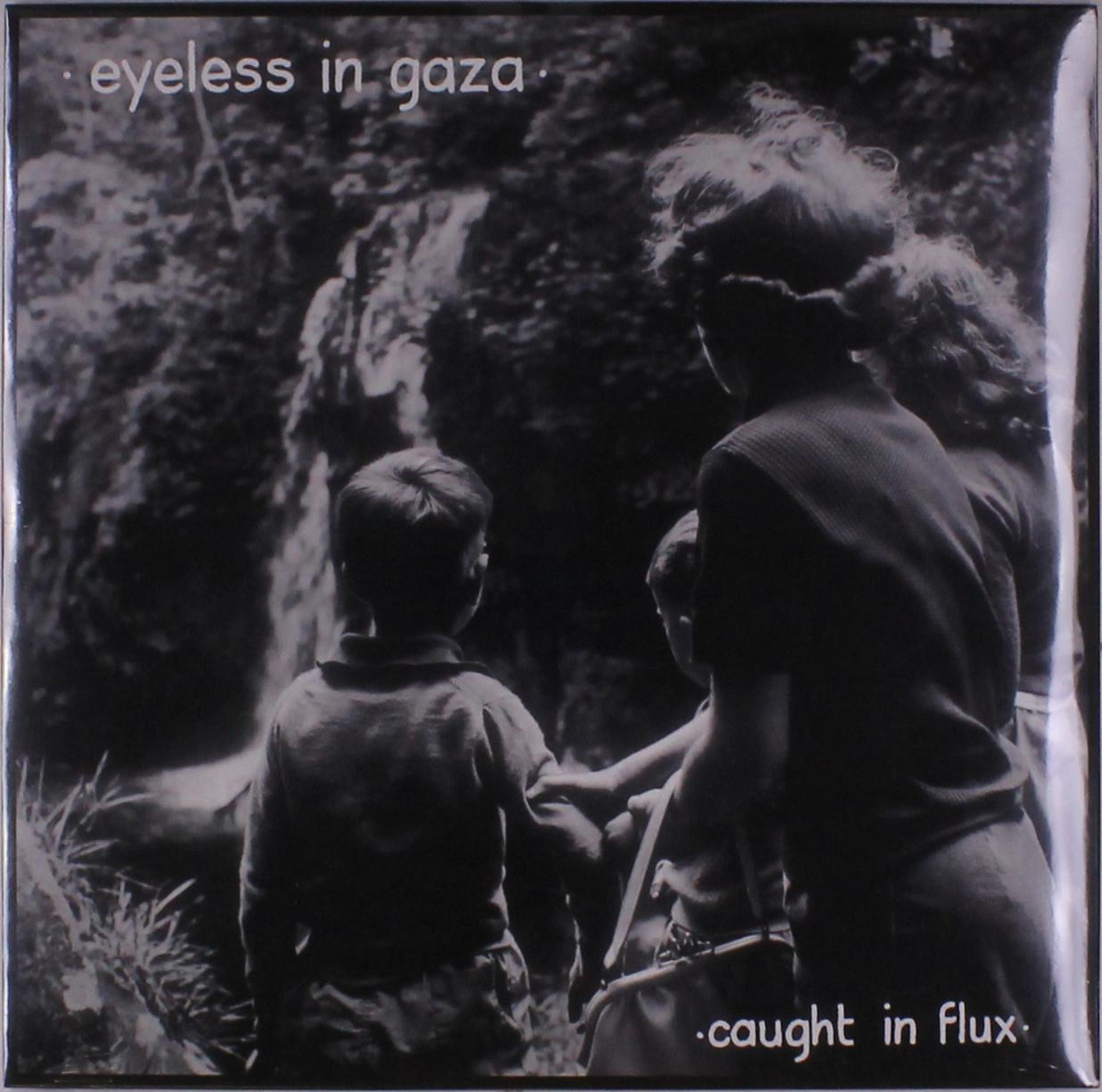 Vinyl - Caught In a Flux