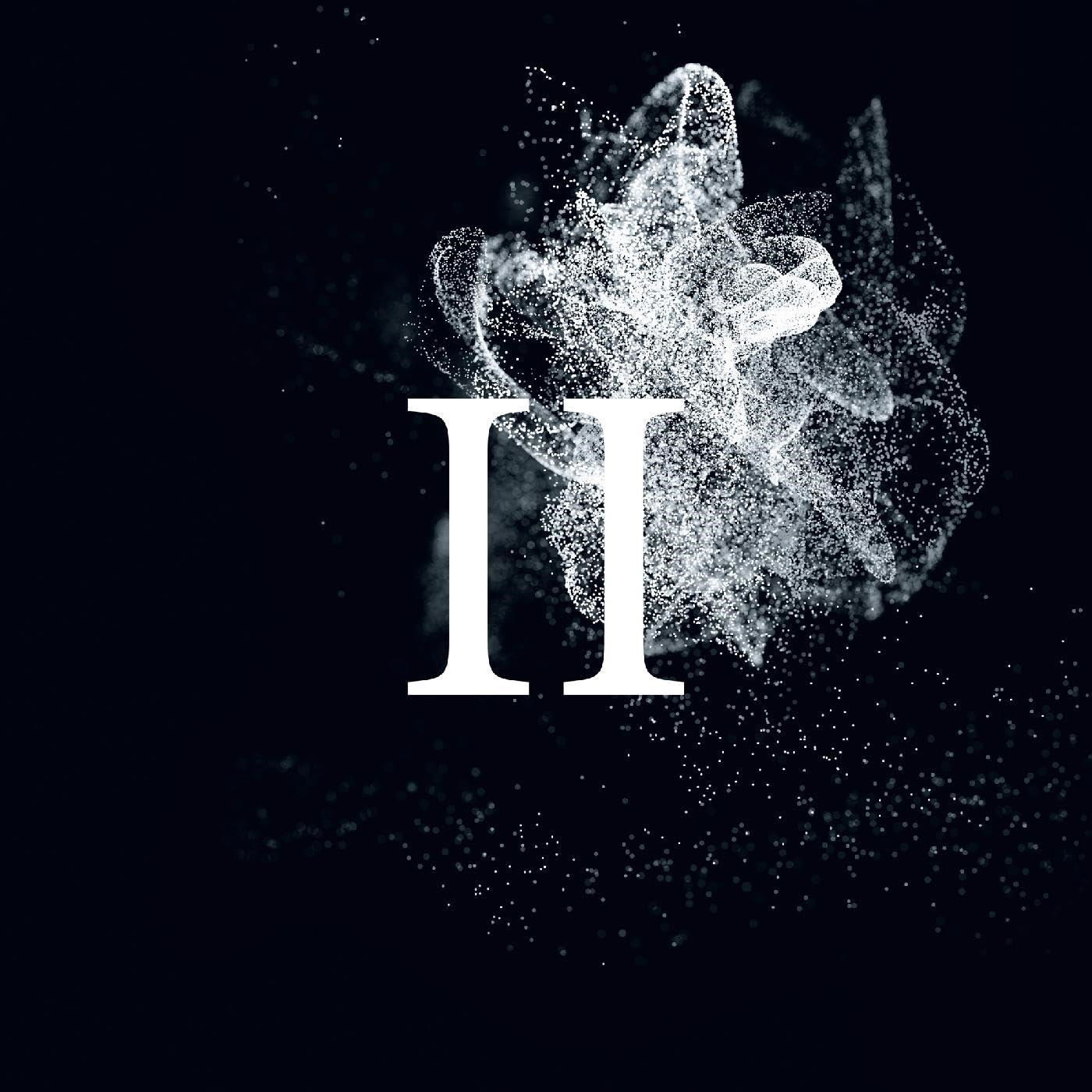 Vinyl Bersarin Quartett - II