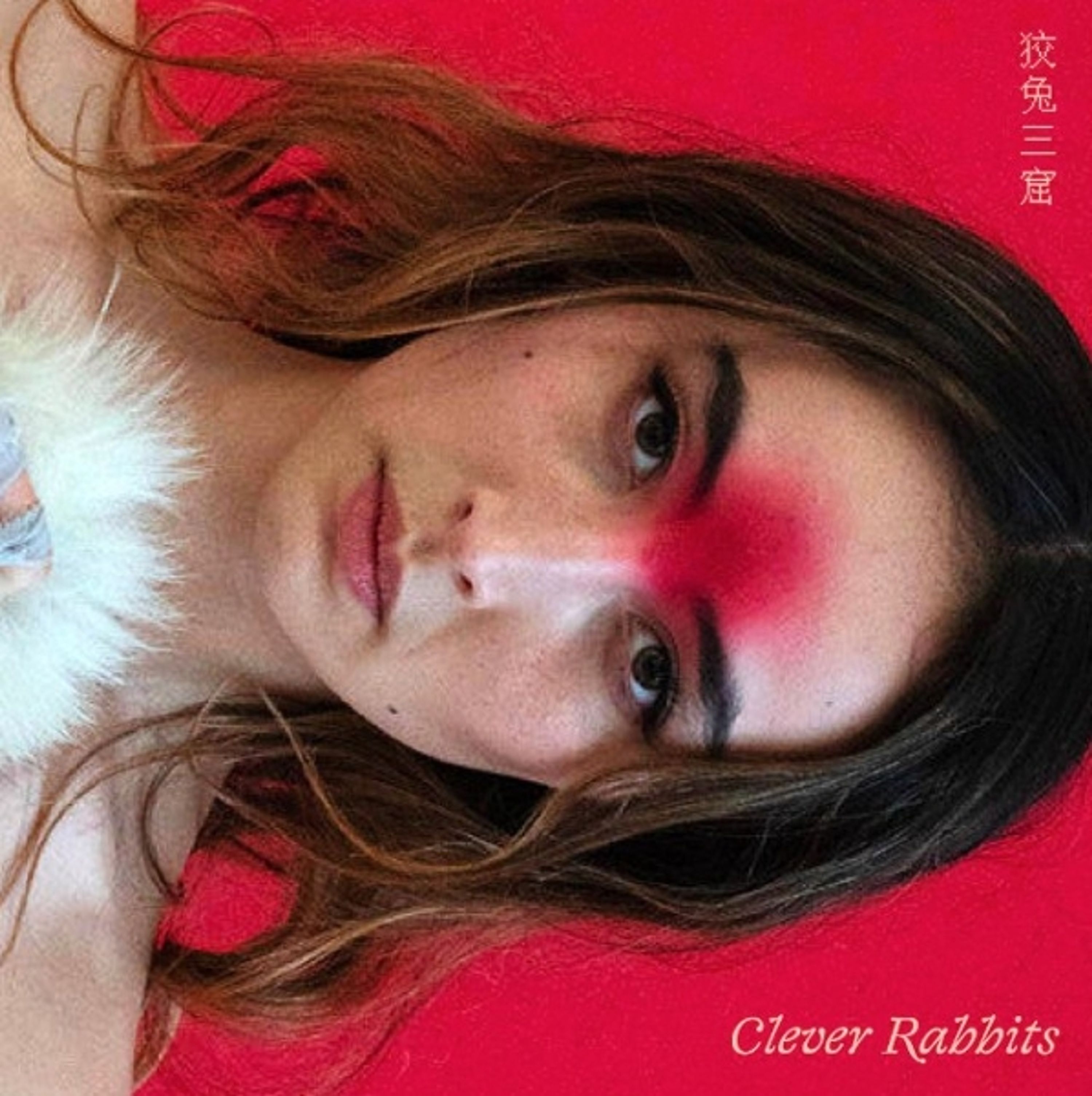 CD Ann Liu Cannon - CLEVER RABBITS